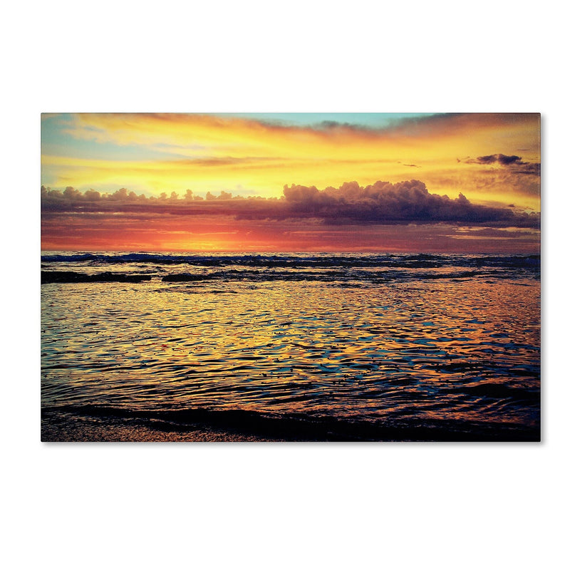 Trademark Fine Art BC0131-C3047GG "Morning Glory" by Beata Czyzowska Young 30" x 47" Frameless Art