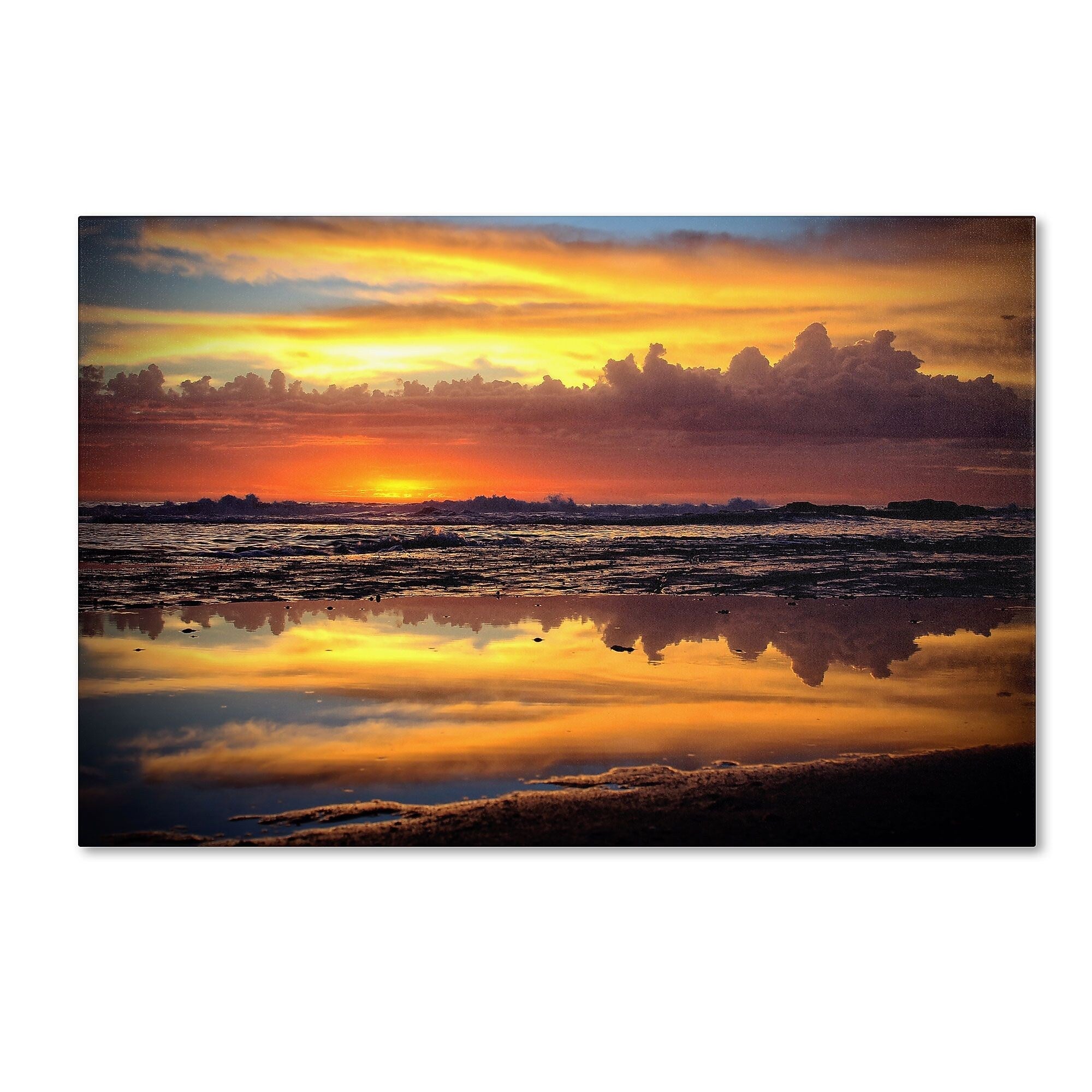Trademark Fine Art BC0132-C1624GG "Morning Reflections" by Beata Czyzowska Young 16" x 24" FRMLS Art