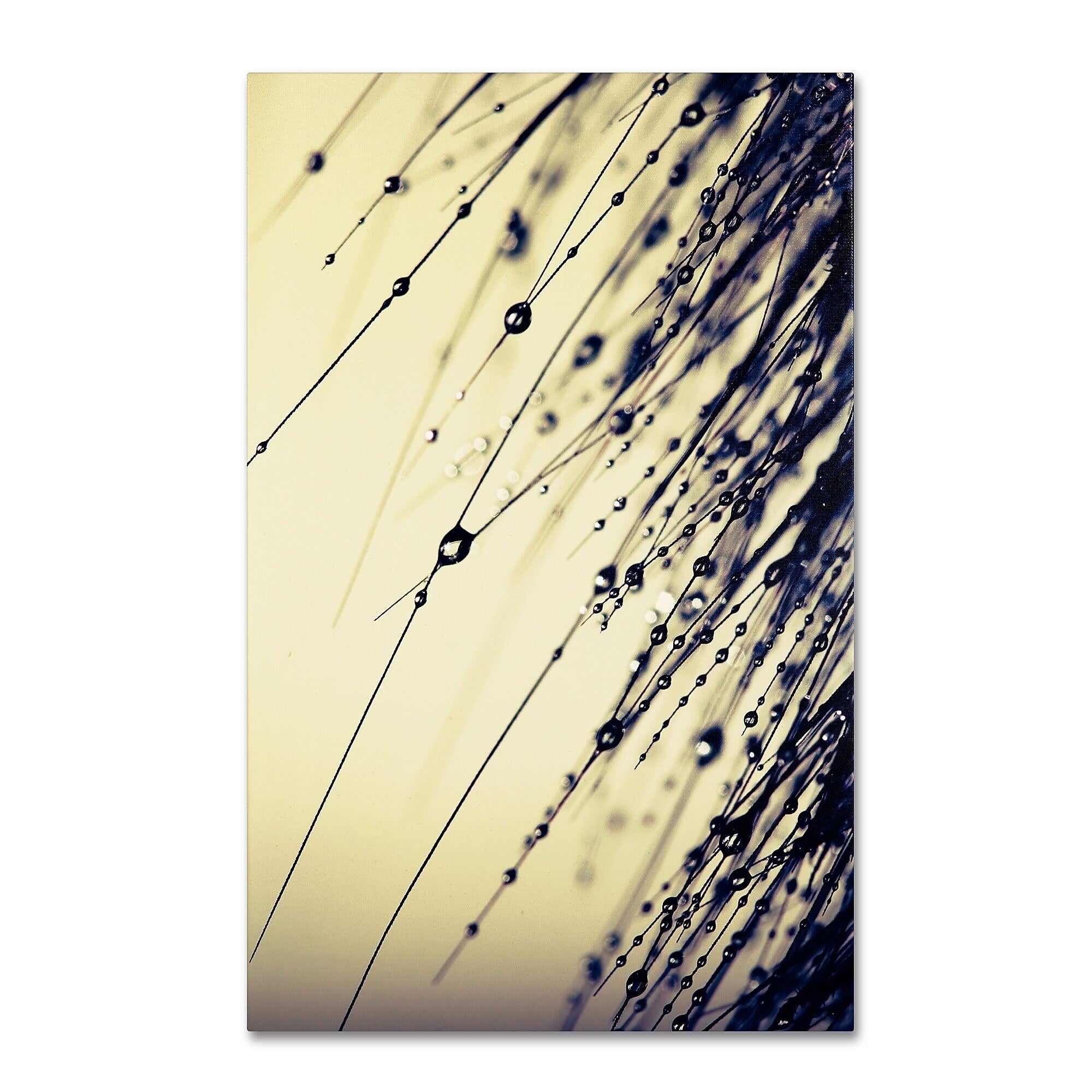 Trademark Fine Art BC0135-C1624GG "Music of Yesterday" by Beata Czyzowska Young 24" x 16" FRMLS Art