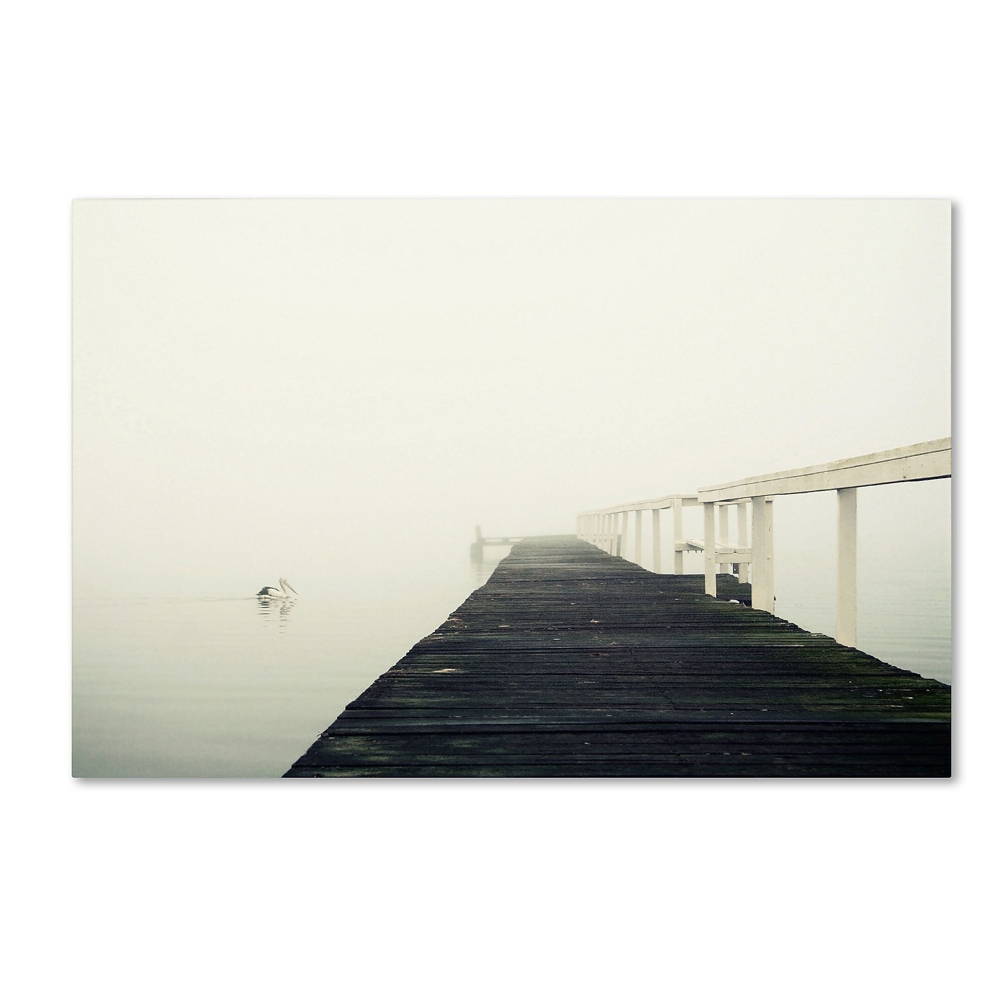 Trademark Fine Art BC0136-C3047GG "No View" by Beata Czyzowska Young 30" x 47" Frameless Art