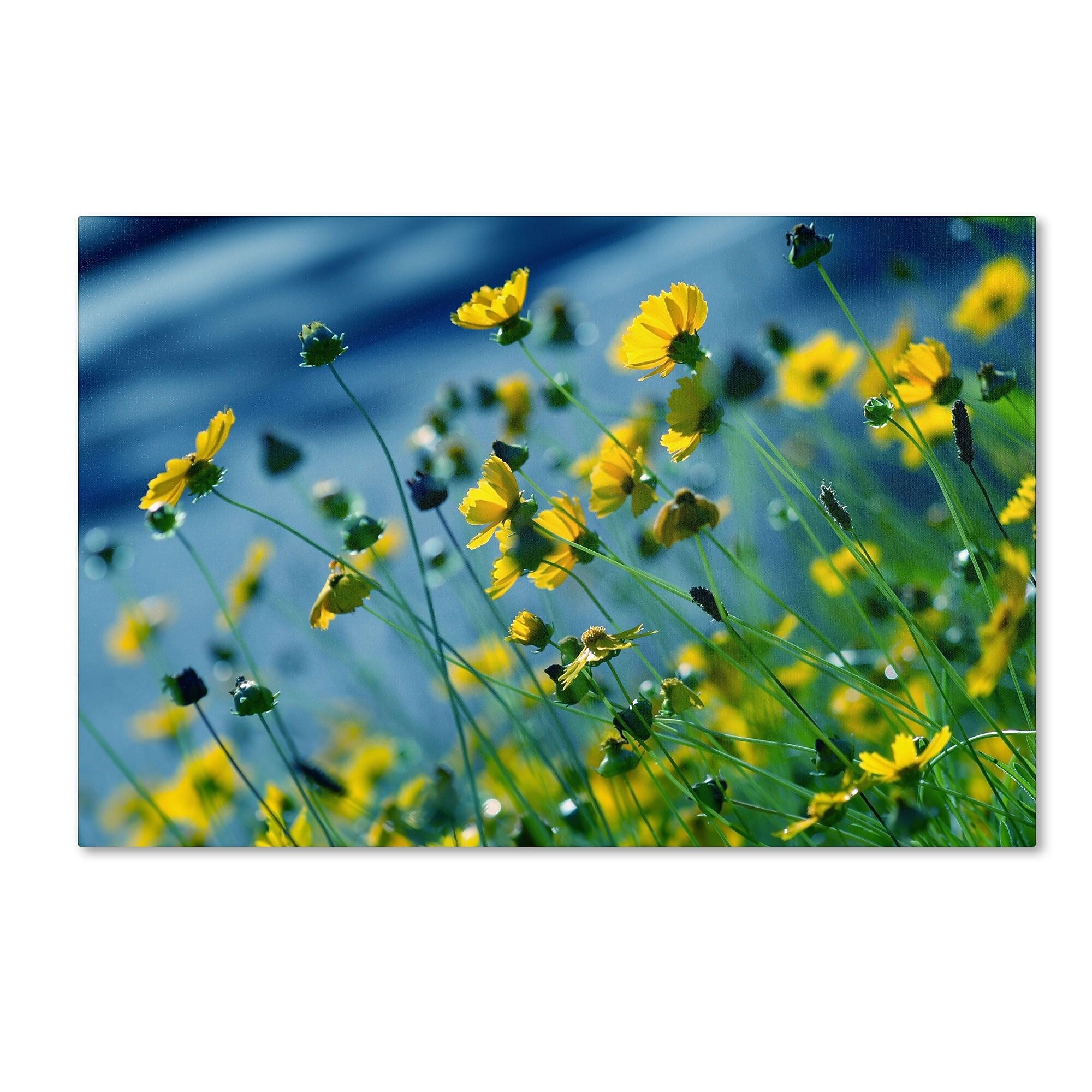 Trademark Fine Art BC0141-C3047GG "Power in Flower" by Beata Czyzowska Young 30" x 47" Frameless Art