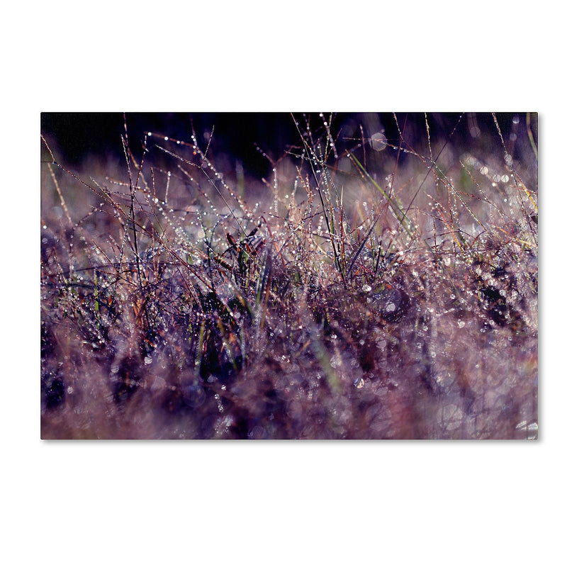 Trademark Fine Art BC0143-C3047GG "Purple Rain" by Beata Czyzowska Young 30" x 47" Frameless Art
