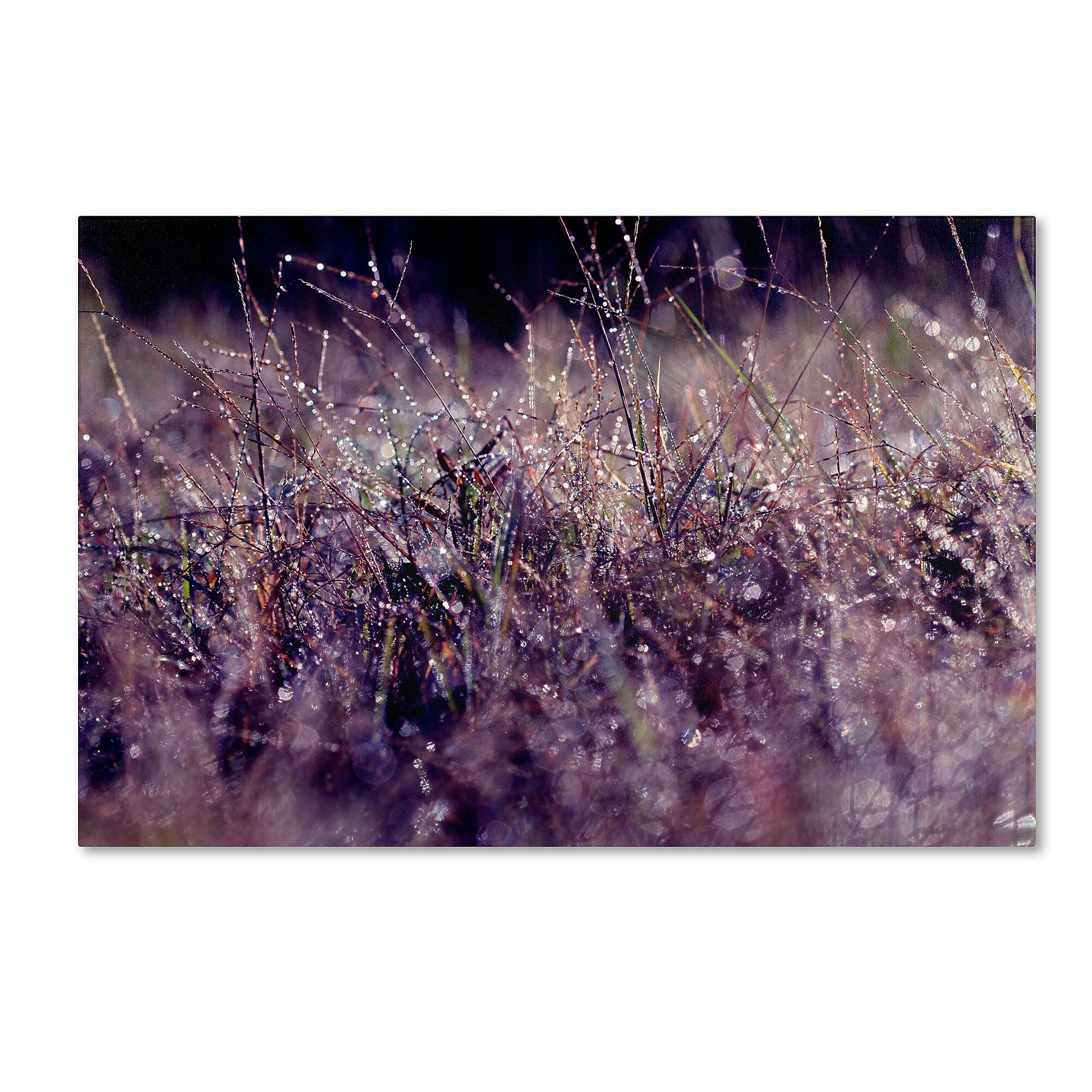 Trademark Fine Art BC0143-C2232GG "Purple Rain" by Beata Czyzowska Young 22" x 32" Frameless Art