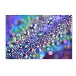 Trademark Fine Art BC0117-C3047GG "Colours of Rainbow" by Beata Czyzowska Young 30" x 47" FRMLS Art
