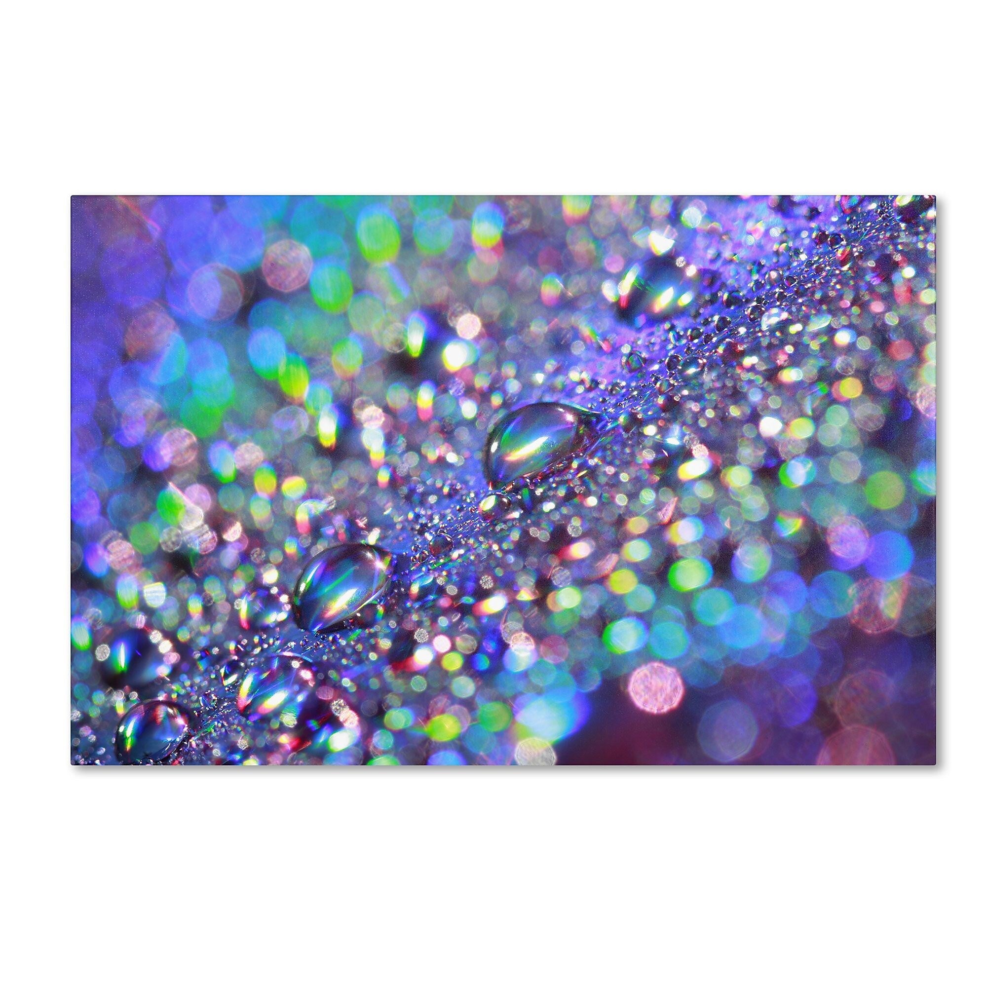 Trademark Fine Art BC0117-C3047GG "Colours of Rainbow" by Beata Czyzowska Young 30" x 47" FRMLS Art
