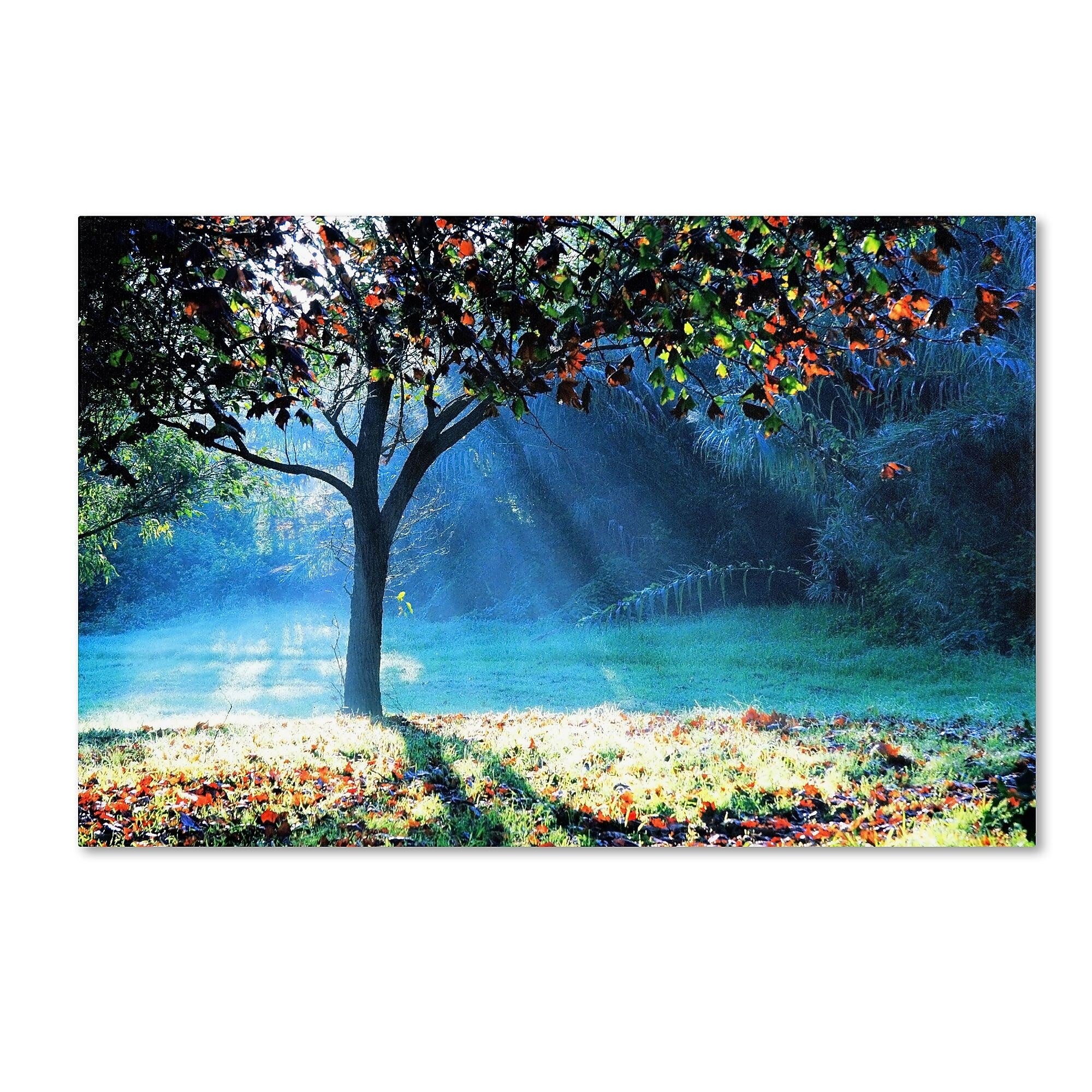 Trademark Fine Art BC0144-C3047GG "Rays of Hope" by Beata Czyzowska Young 30" x 47" Frameless Art