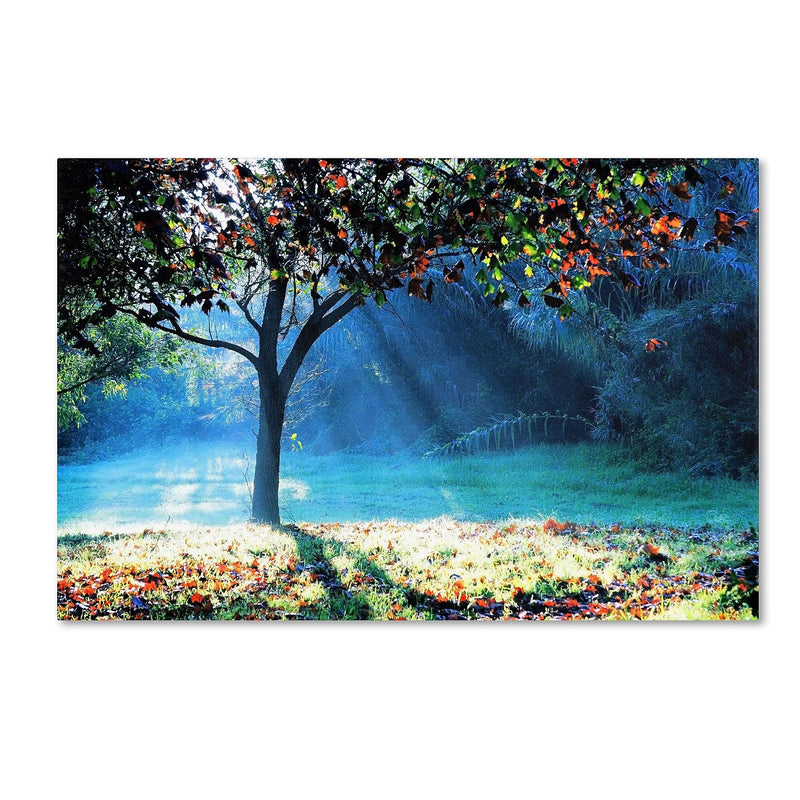 Trademark Fine Art BC0144-C3047GG "Rays of Hope" by Beata Czyzowska Young 30" x 47" Frameless Art