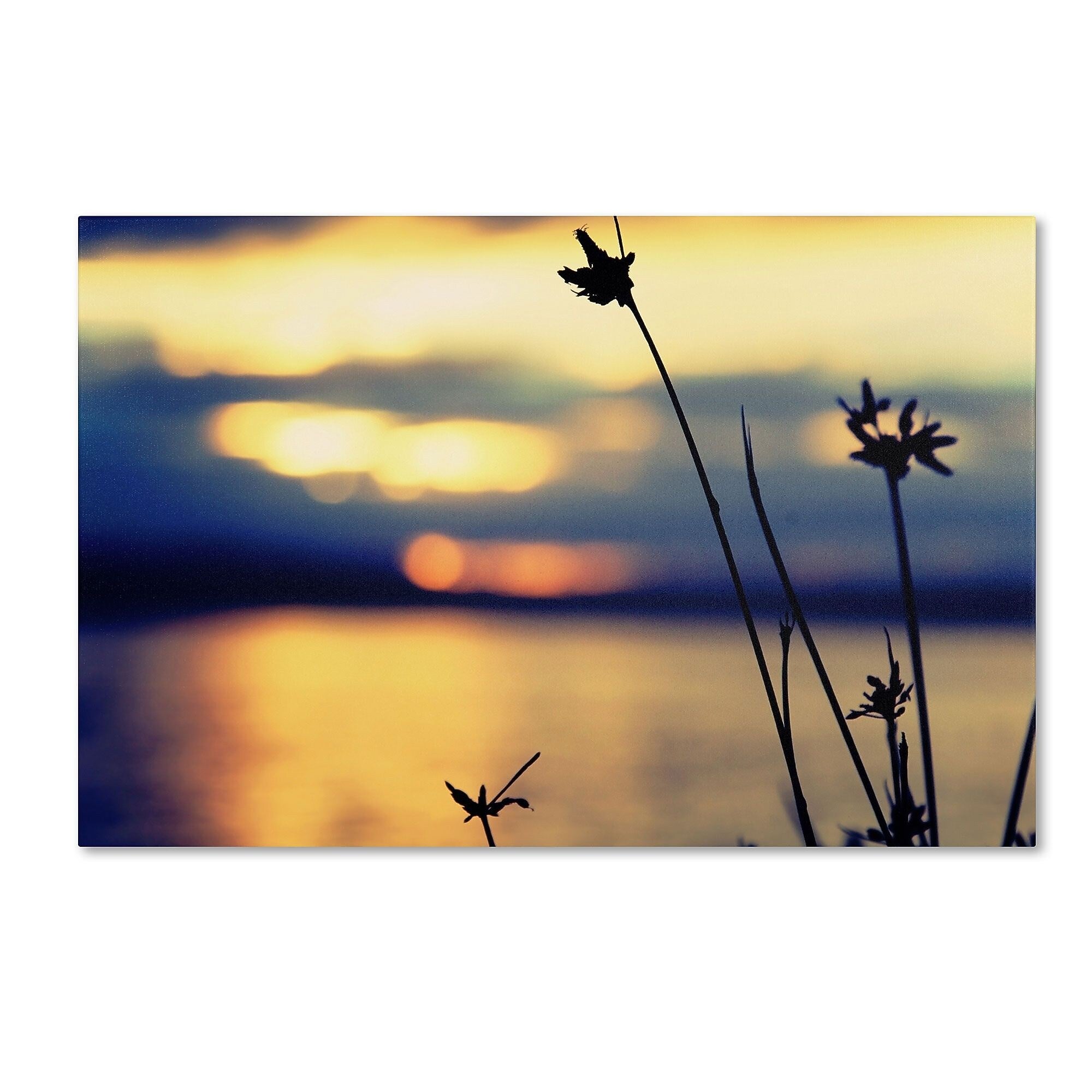 Trademark Fine Art BC0150-C2232GG "Sunset Thoughts" by Beata Czyzowska Young 22" x 32" Frameless Art