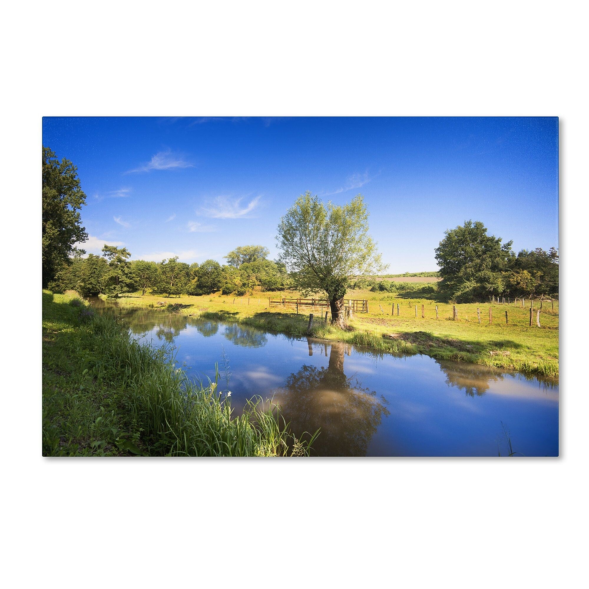 Trademark Fine Art PSL0331-C3047GG "Blue Brook" by Philippe Sainte-Laudy 30" x 47" Frameless Art