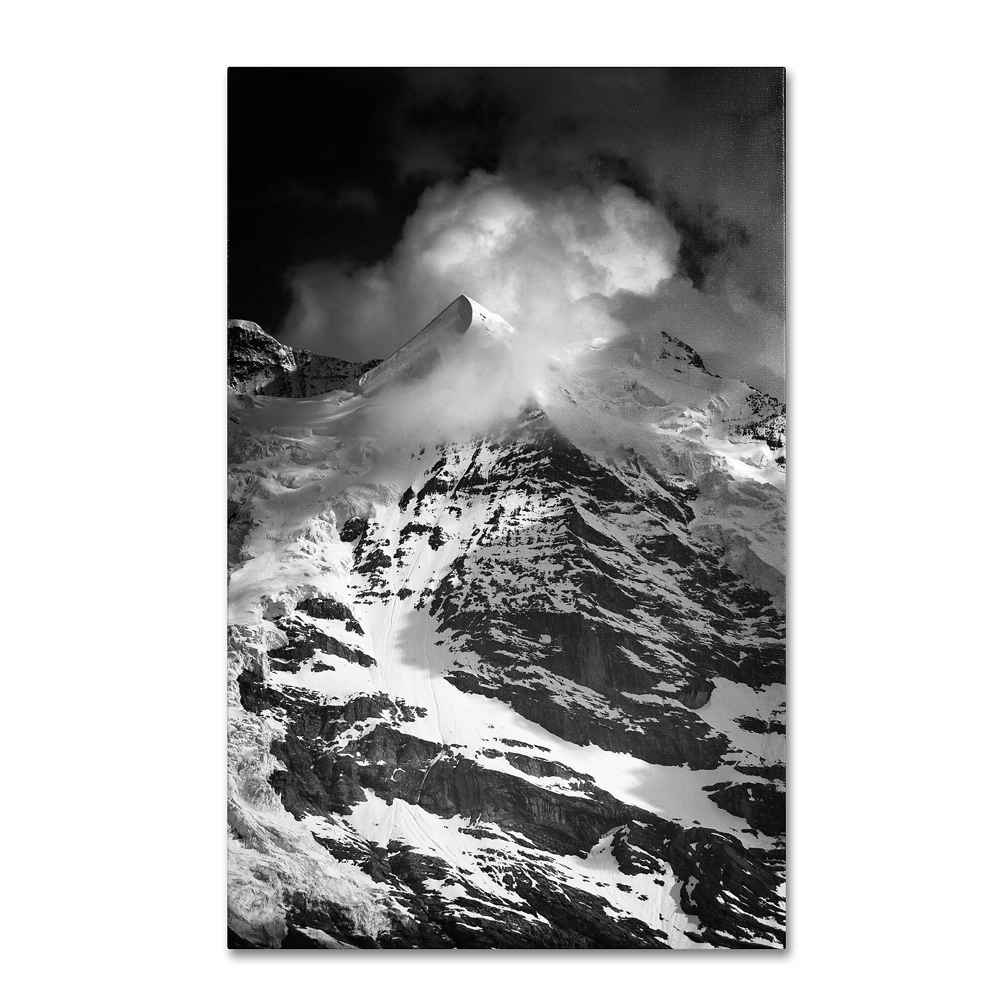 Trademark Fine Art PSL0300-C1624GG "Carry Me Away" by Philippe Sainte-Laudy 16" x 24" Frameless Art