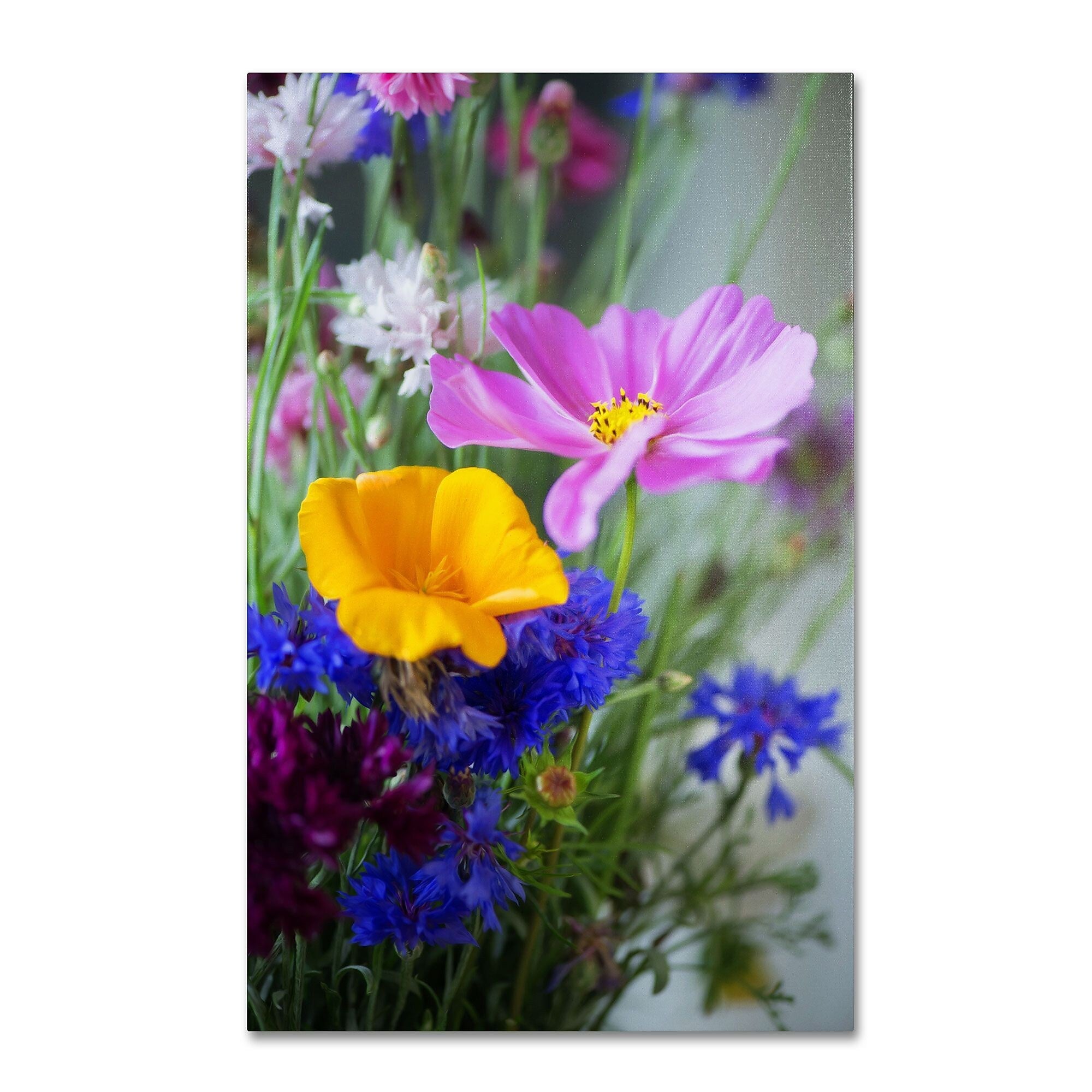 Trademark Fine Art PSL0334-C2232GG "Cosmo Duo" by Philippe Sainte-Laudy 32" x 22" Frameless Art