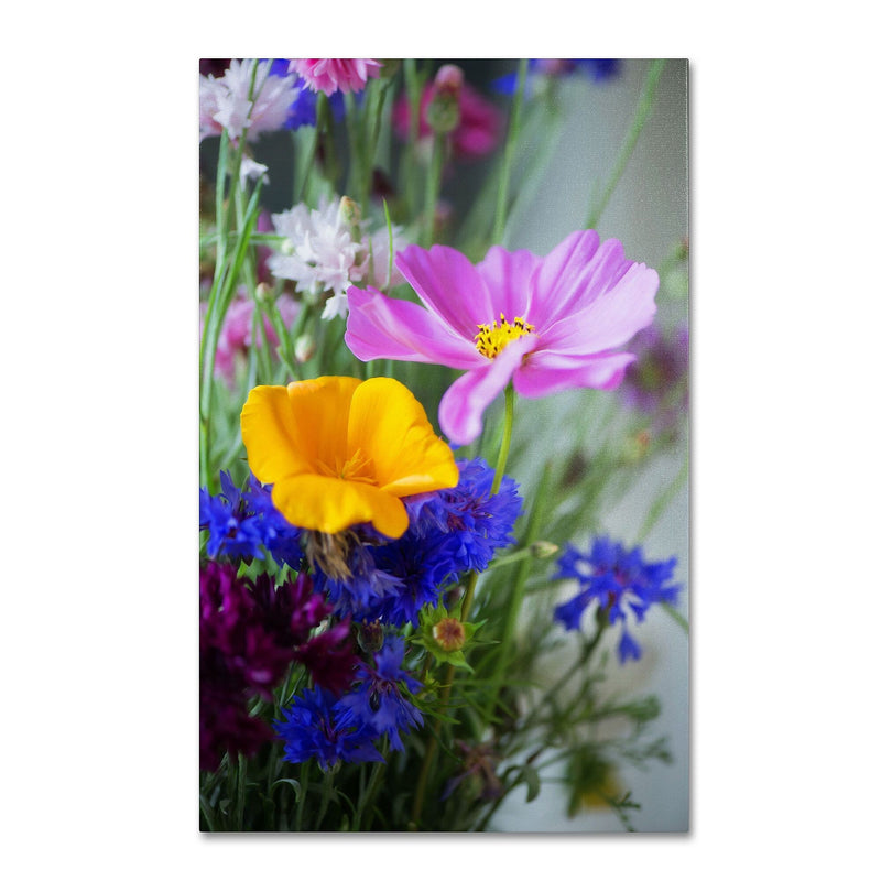 Trademark Fine Art PSL0334-C2232GG "Cosmo Duo" by Philippe Sainte-Laudy 32" x 22" Frameless Art