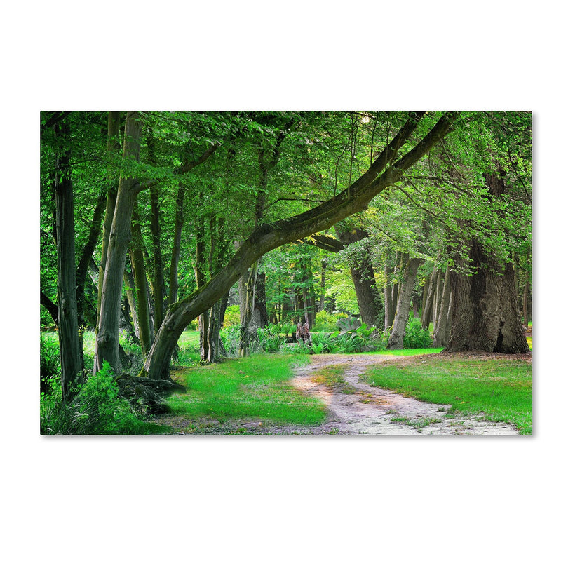 Trademark Fine Art PSL0309-C1624GG "Intimate Landscape" by Philippe Sainte-Laudy 16" x 24" FRMLS Art