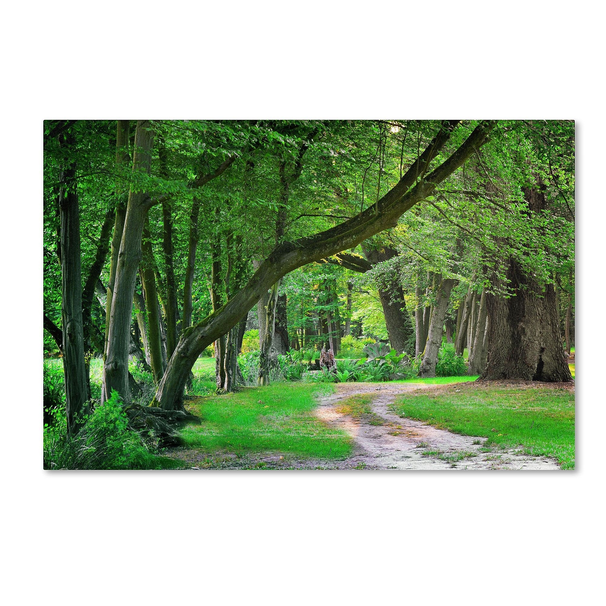 Trademark Fine Art PSL0309-C3047GG "Intimate Landscape" by Philippe Sainte-Laudy 30" x 47" FRMLS Art