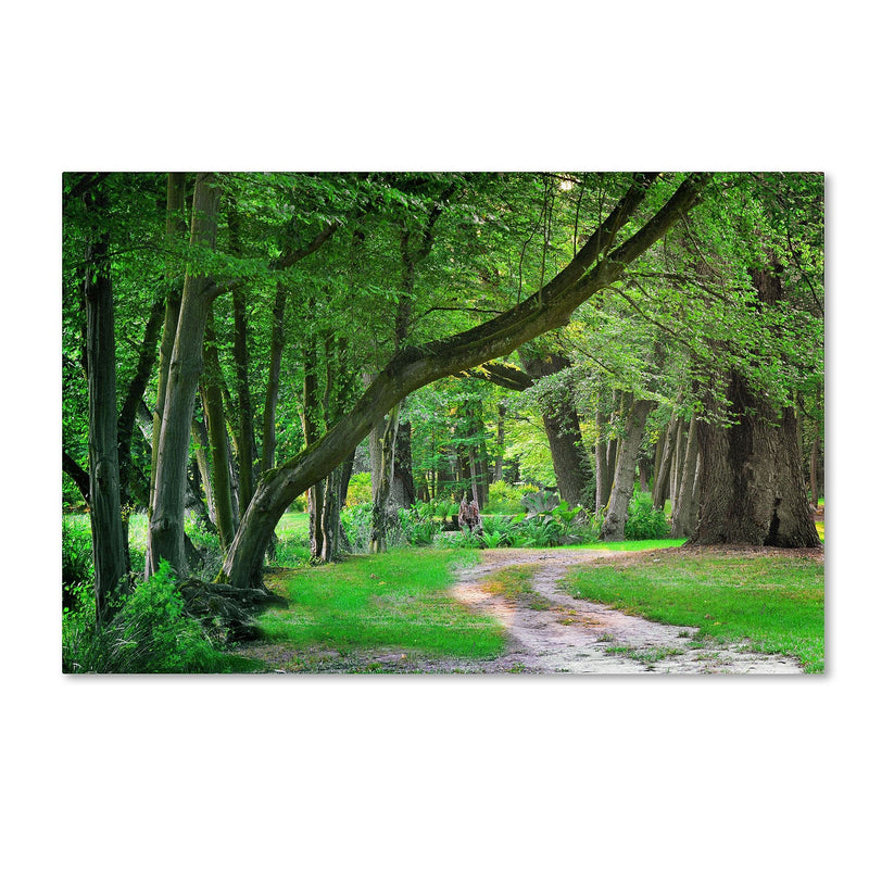 Trademark Fine Art PSL0309-C3047GG "Intimate Landscape" by Philippe Sainte-Laudy 30" x 47" FRMLS Art