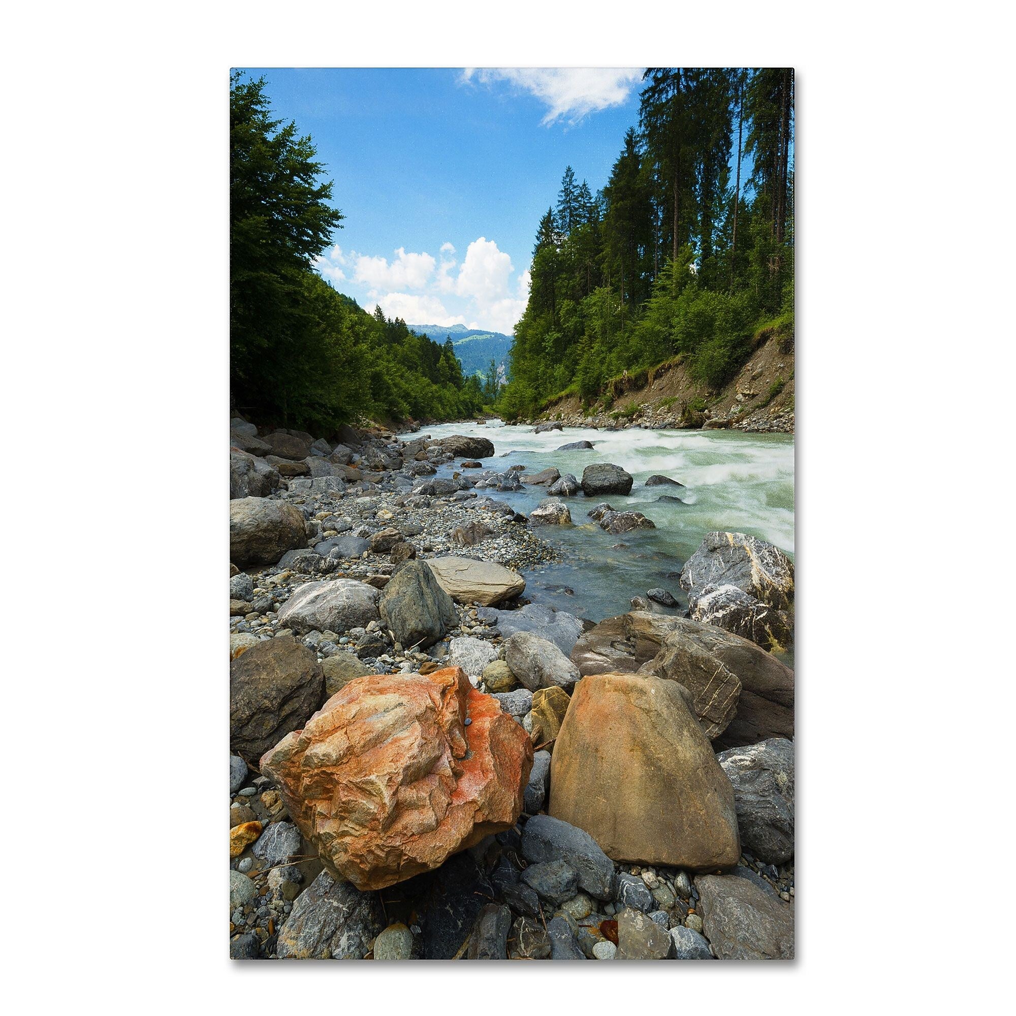 Trademark Fine Art PSL0310-C2232GG "Isolated" by Philippe Sainte-Laudy 22" x 32" Frameless Art