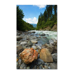 Trademark Fine Art PSL0310-C3047GG "Isolated" by Philippe Sainte-Laudy 30" x 47" Frameless Art