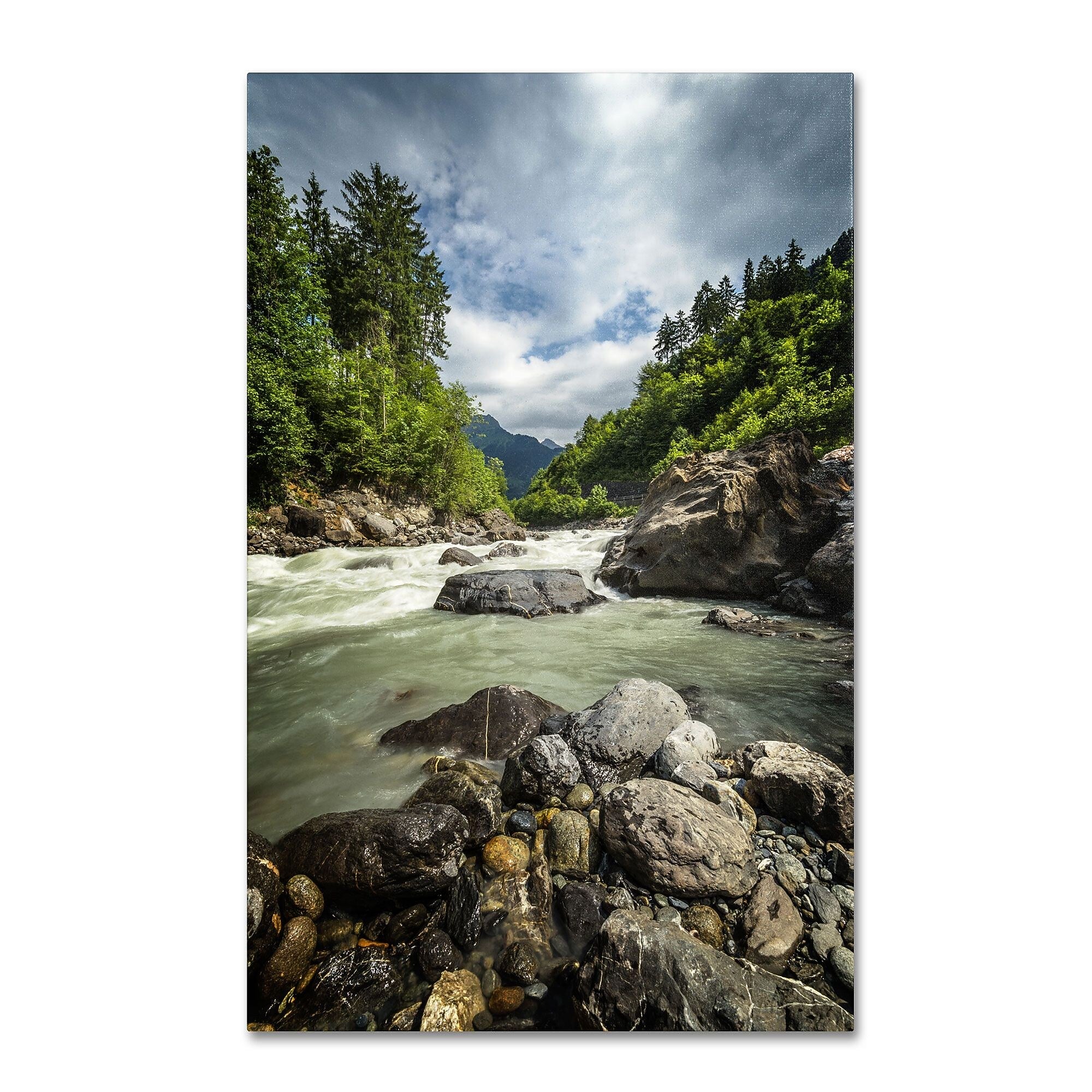 Trademark Fine Art PSL0328-C3047GG "Waterland" by Philippe Sainte-Laudy 47" x 30" Frameless Art