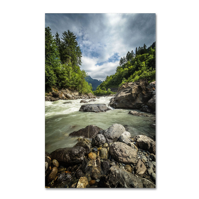 Trademark Fine Art PSL0328-C3047GG "Waterland" by Philippe Sainte-Laudy 47" x 30" Frameless Art