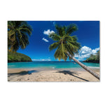 Trademark Fine Art RV0020-C3047GG "Martinique" by Mathieu Rivrin 30" x 47" Frameless Art