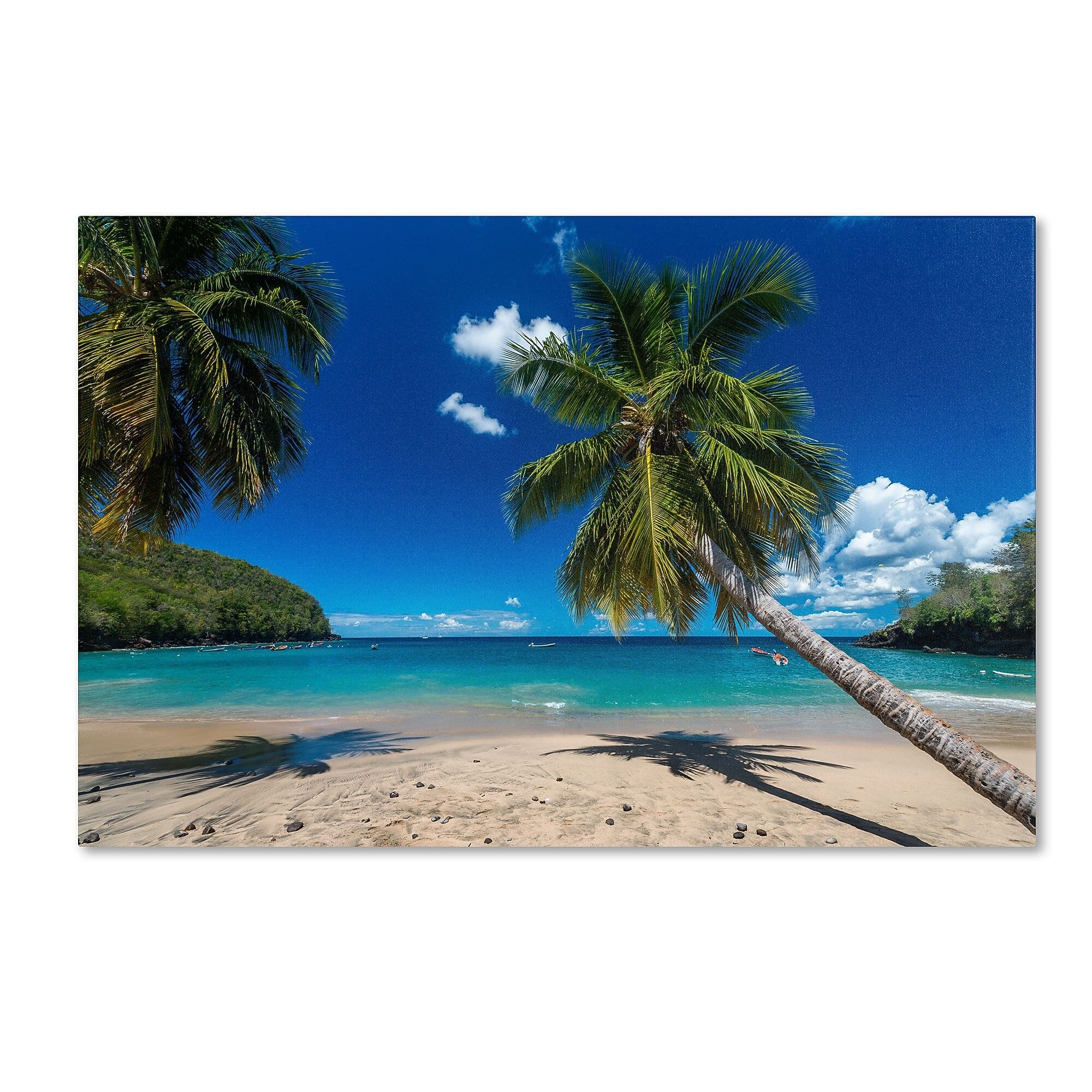 Trademark Fine Art RV0020-C3047GG "Martinique" by Mathieu Rivrin 30" x 47" Frameless Art