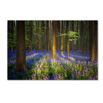 Trademark Fine Art RV0021-C3047GG "Mystical Forest" by Mathieu Rivrin 30" x 47" Frameless Art