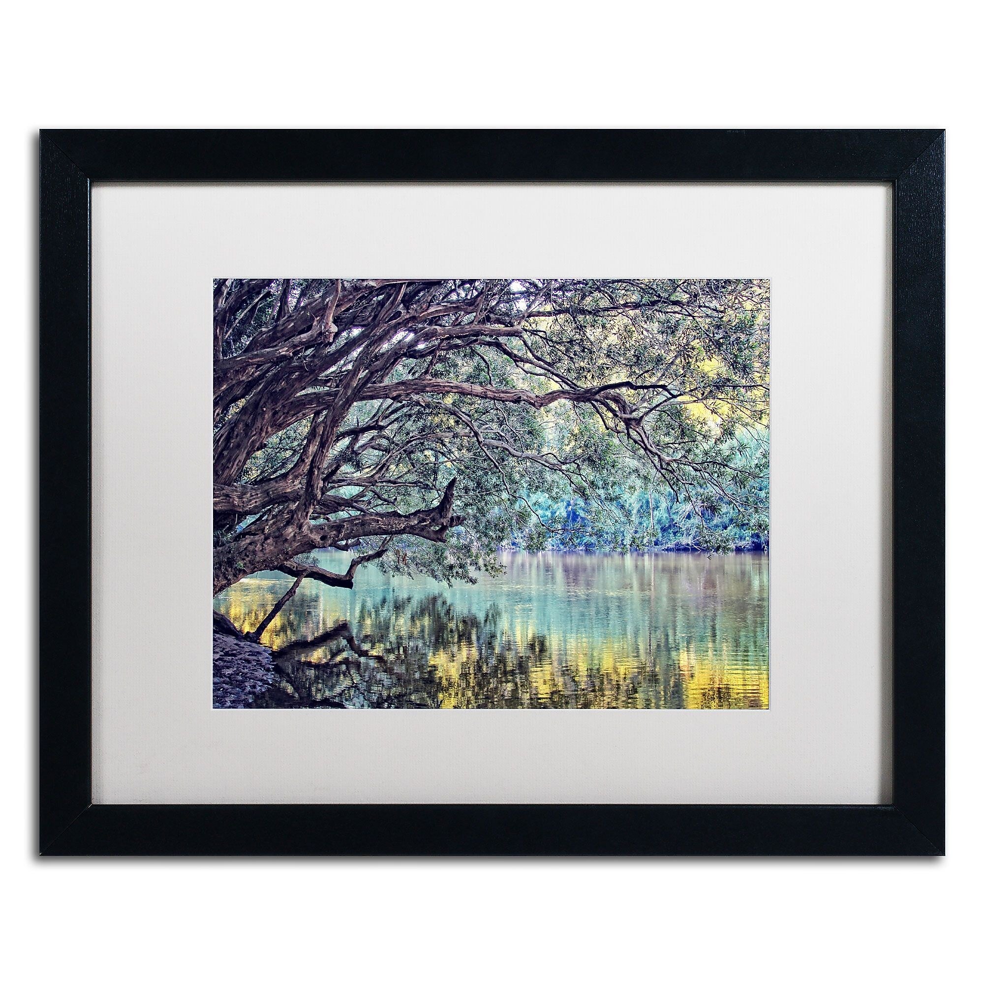 Trademark Fine Art BC0115-B1620MF A Place to Dream by Beata Czyzowska Young 16x20 FRM Art, WHT MTD