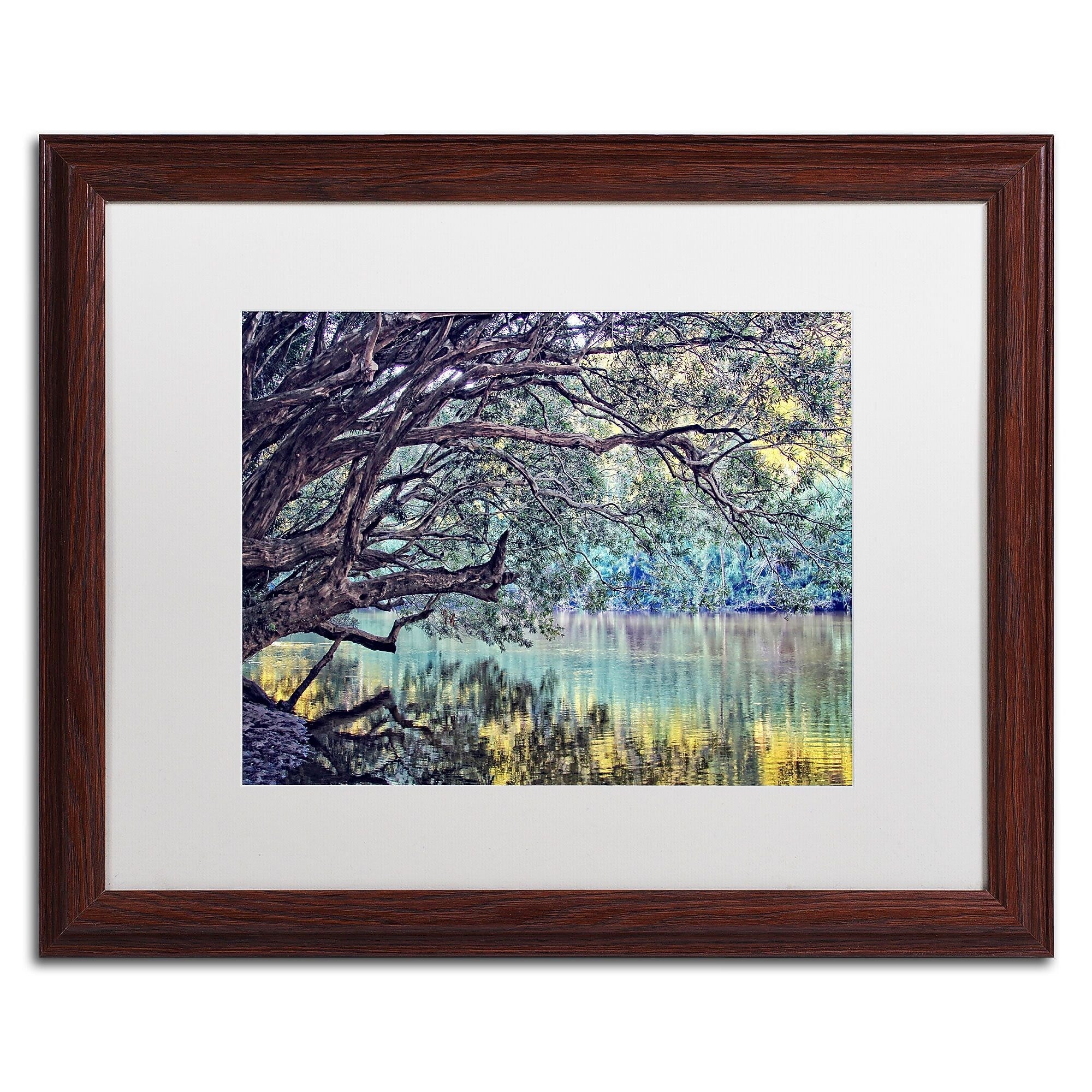 Trademark Fine Art BC0115-W1620MF A Place to Dream by Beata Czyzowska Young 16x20 FRM Art, WHT MTD
