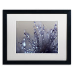 Trademark Fine Art BC0120-B1620MF Evening Jewels by Beata Czyzowska Young 16x20 FRM Art, WHT MTD