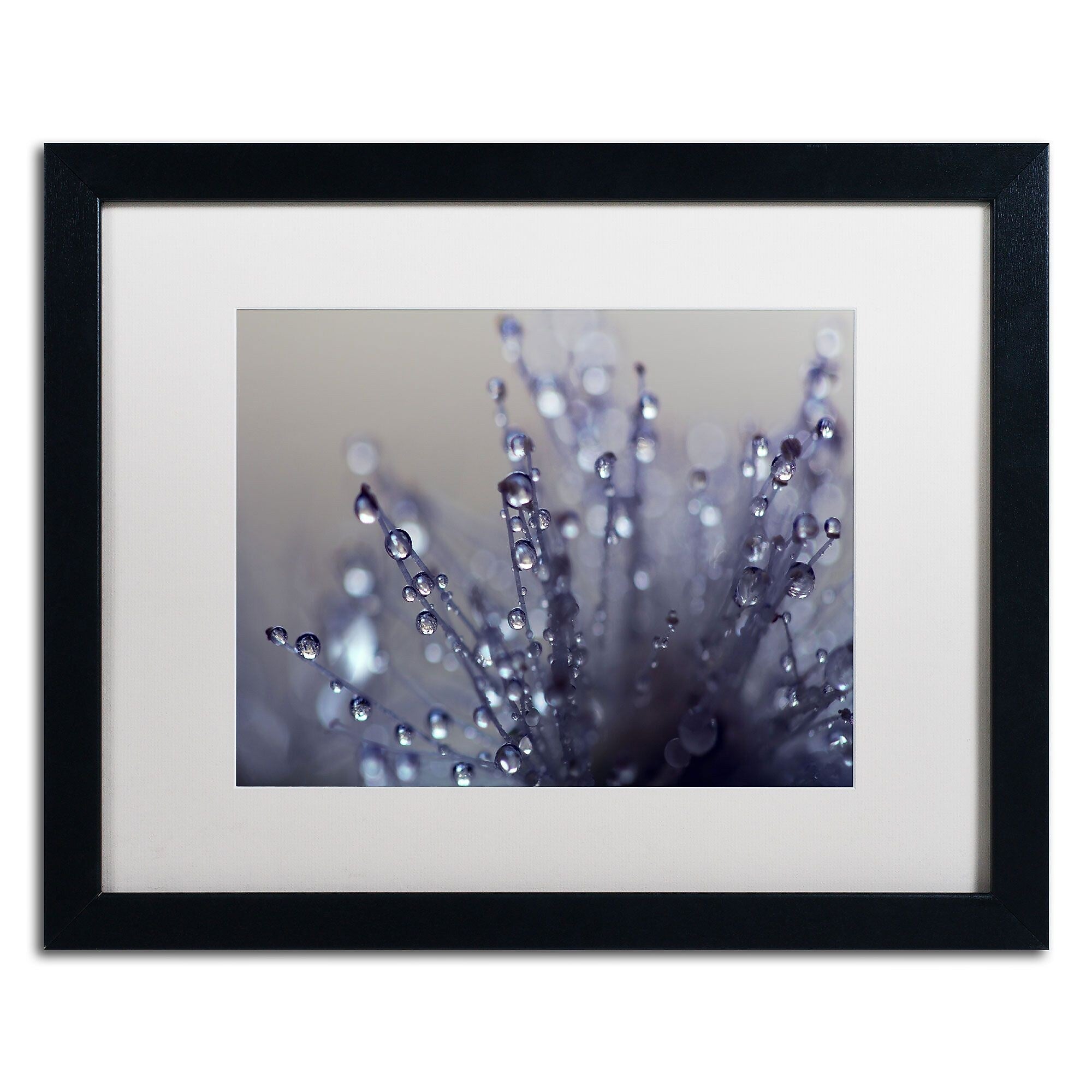 Trademark Fine Art BC0120-B1620MF Evening Jewels by Beata Czyzowska Young 16x20 FRM Art, WHT MTD