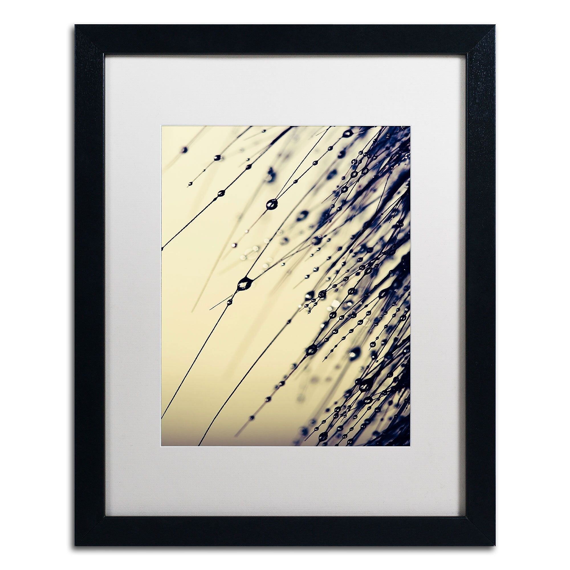 Trademark Fine Art BC0135-B1620MF Music of Yesterday by Beata Czyzowska Young 20x16 FRM Art, WHT MTD