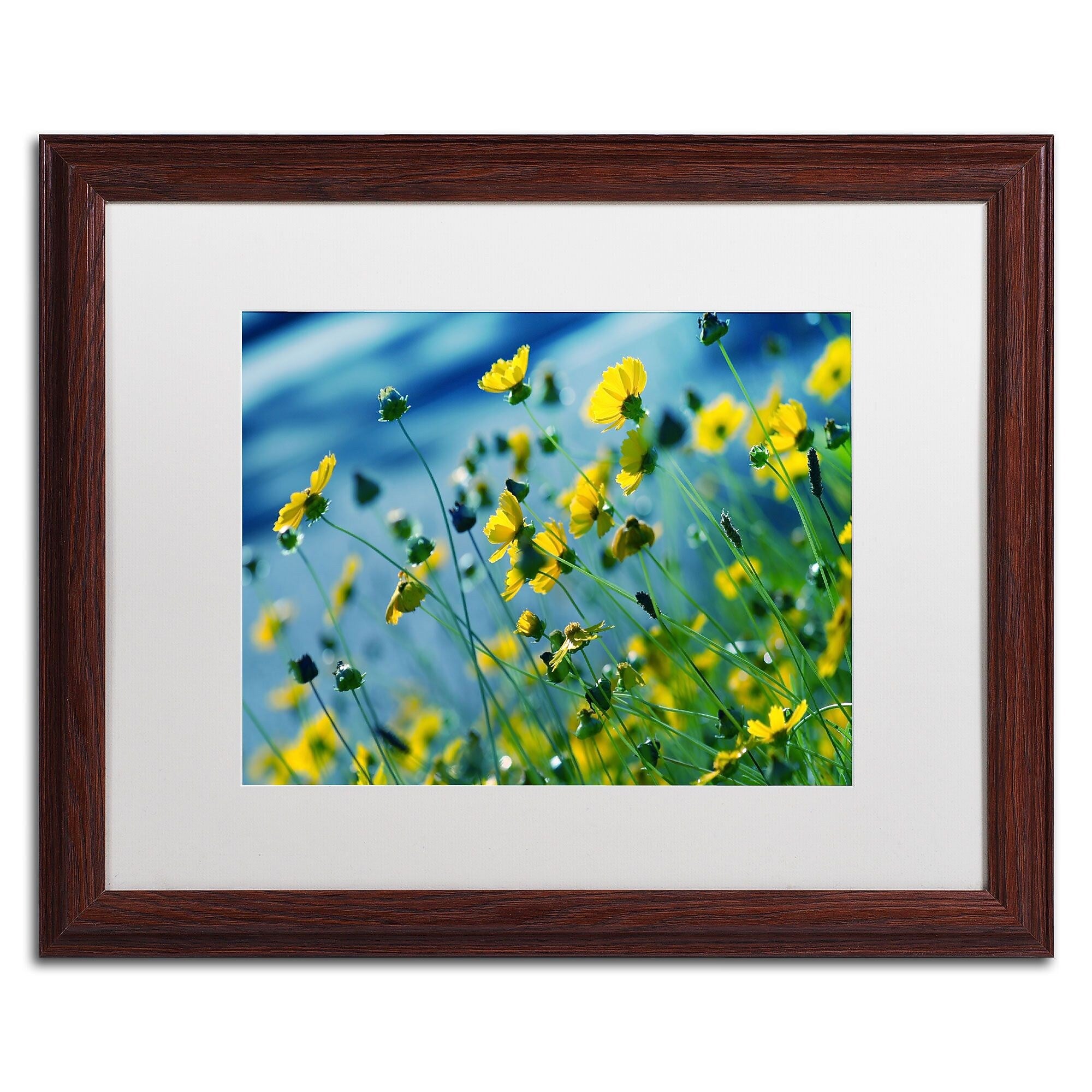 Trademark Fine Art BC0141-W1620MF Power in Flower by Beata Czyzowska Young 16x20 FRM Art, WHT MTD