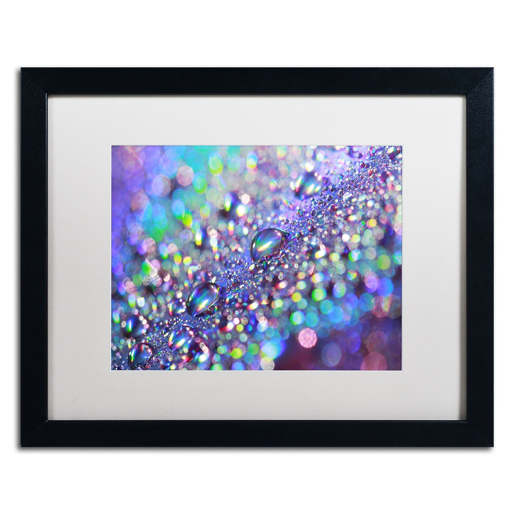 Trademark Fine Art BC0117-B1620MF Colours of Rainbow by Beata Czyzowska Young 16x20 FRM Art, WHT MTD