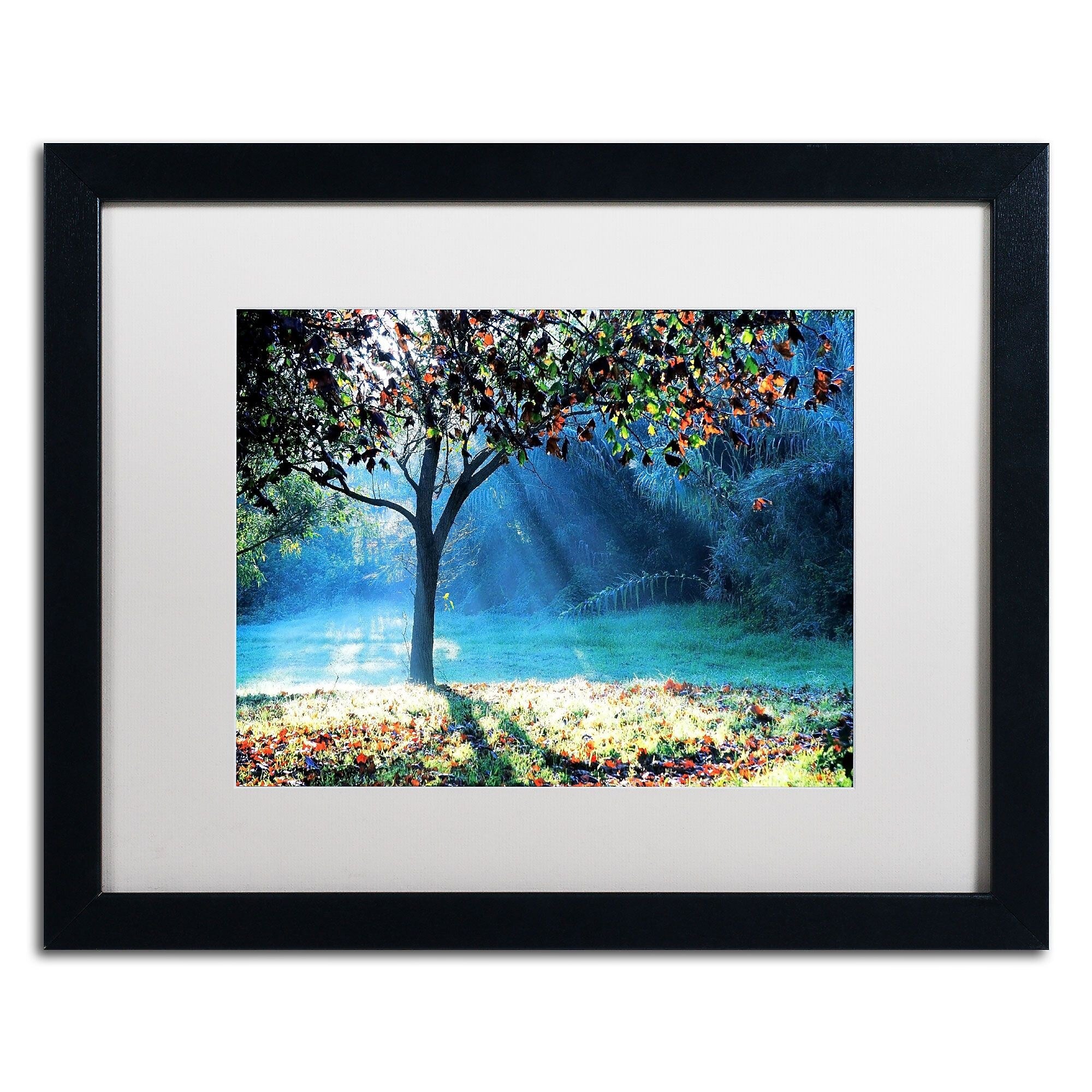 Trademark Fine Art BC0144-B1620MF "Rays of Hope" by Beata Czyzowska Young 16" x 20" FRM Art, WHT MTD