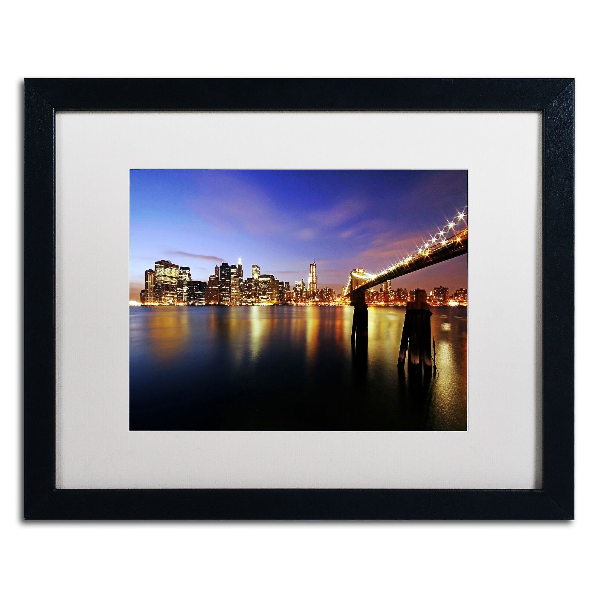 Trademark Fine Art MZ045-B1620MF "That's the Way it is" by CATeyes 16" x 20" Framed Art, WHT MTD