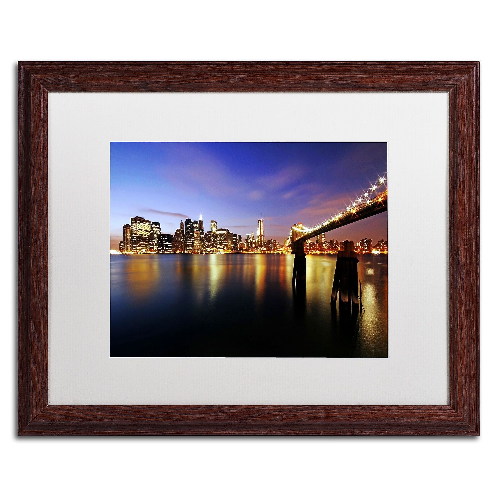 Trademark Fine Art MZ045-W1620MF "That's the Way it is" by CATeyes 16" x 20" Framed Art, WHT MTD