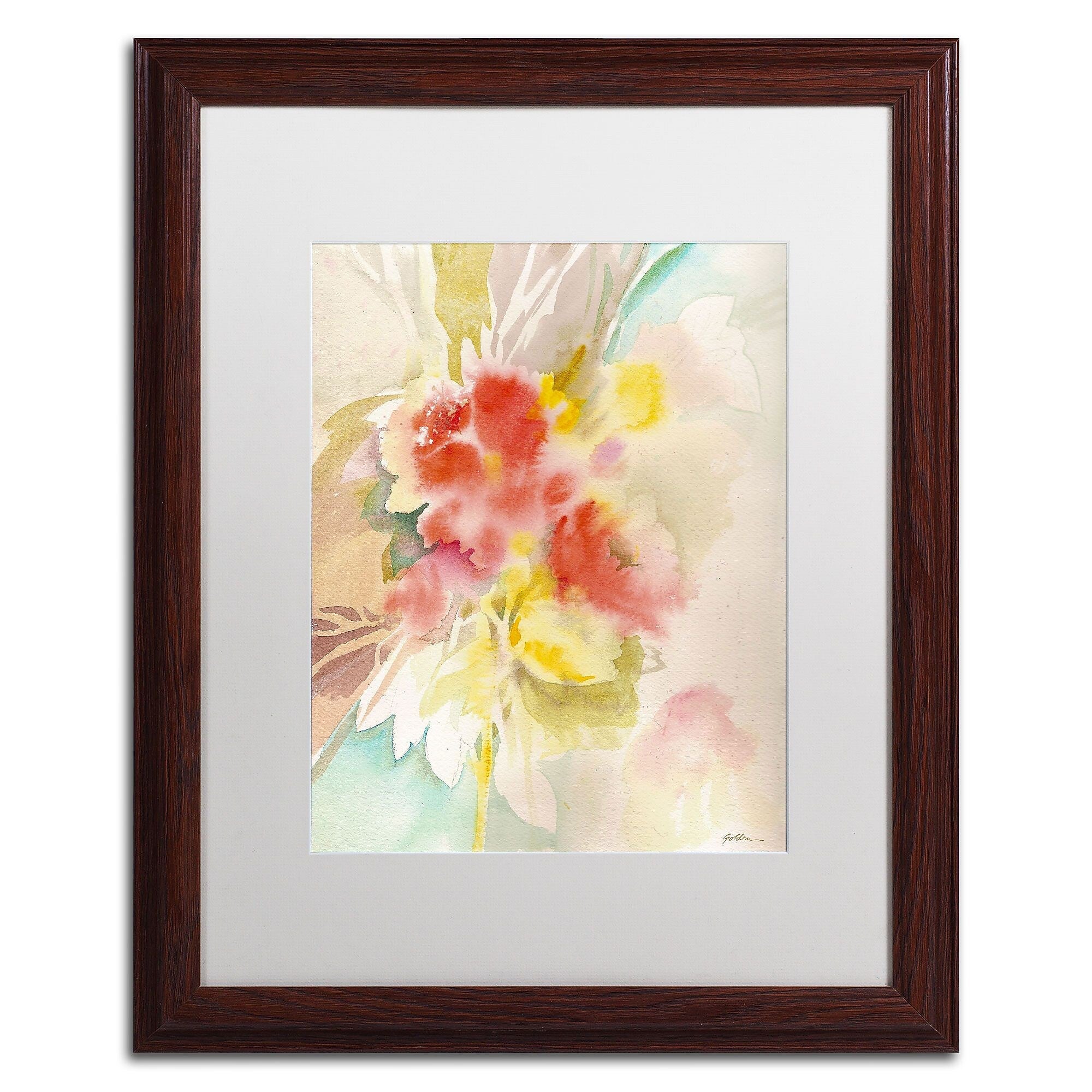 Trademark Fine Art SG5698-W1620MF "Red Flower Shadows" by Sheila Golden 20" x 16" FRM Art, WHT MTD