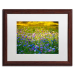 Trademark Fine Art PSL0332-W1620MF Candy Fields by Philippe Sainte-Laudy 16x20 FRM Art, WHT MTD