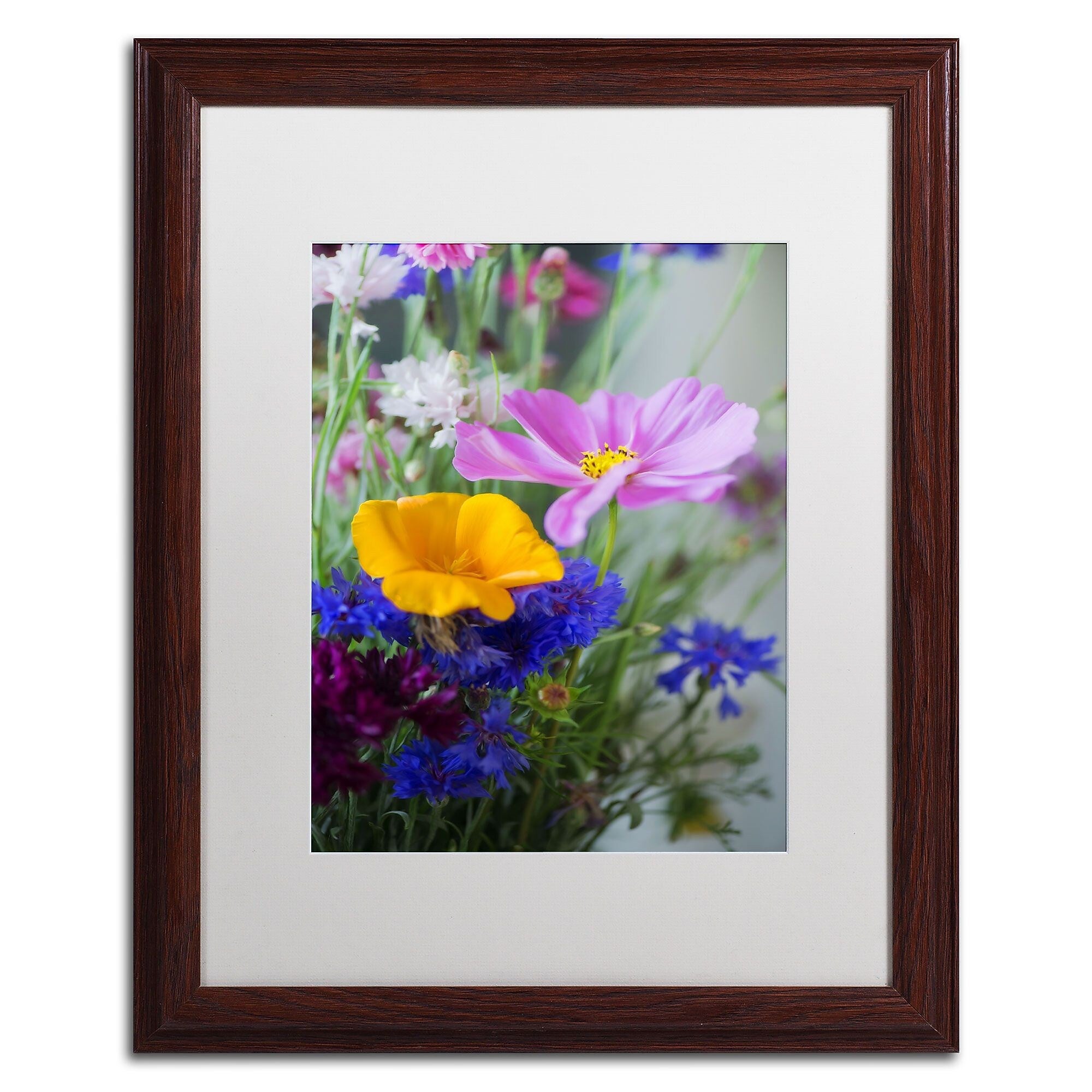 Trademark Fine Art PSL0334-W1620MF "Cosmo Duo" by Philippe Sainte-Laudy 20" x 16" FRM Art, WHT MTD