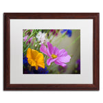 Trademark Fine Art Cosmos of the Fields by Philippe Sainte-Laudy 16x20 FRM Art, WHT MTD (PSL0335-W1620MF)
