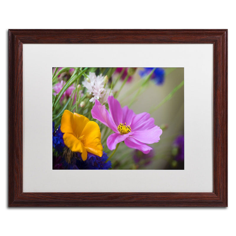Trademark Fine Art Cosmos of the Fields by Philippe Sainte-Laudy 16x20 FRM Art, WHT MTD (PSL0335-W1620MF)