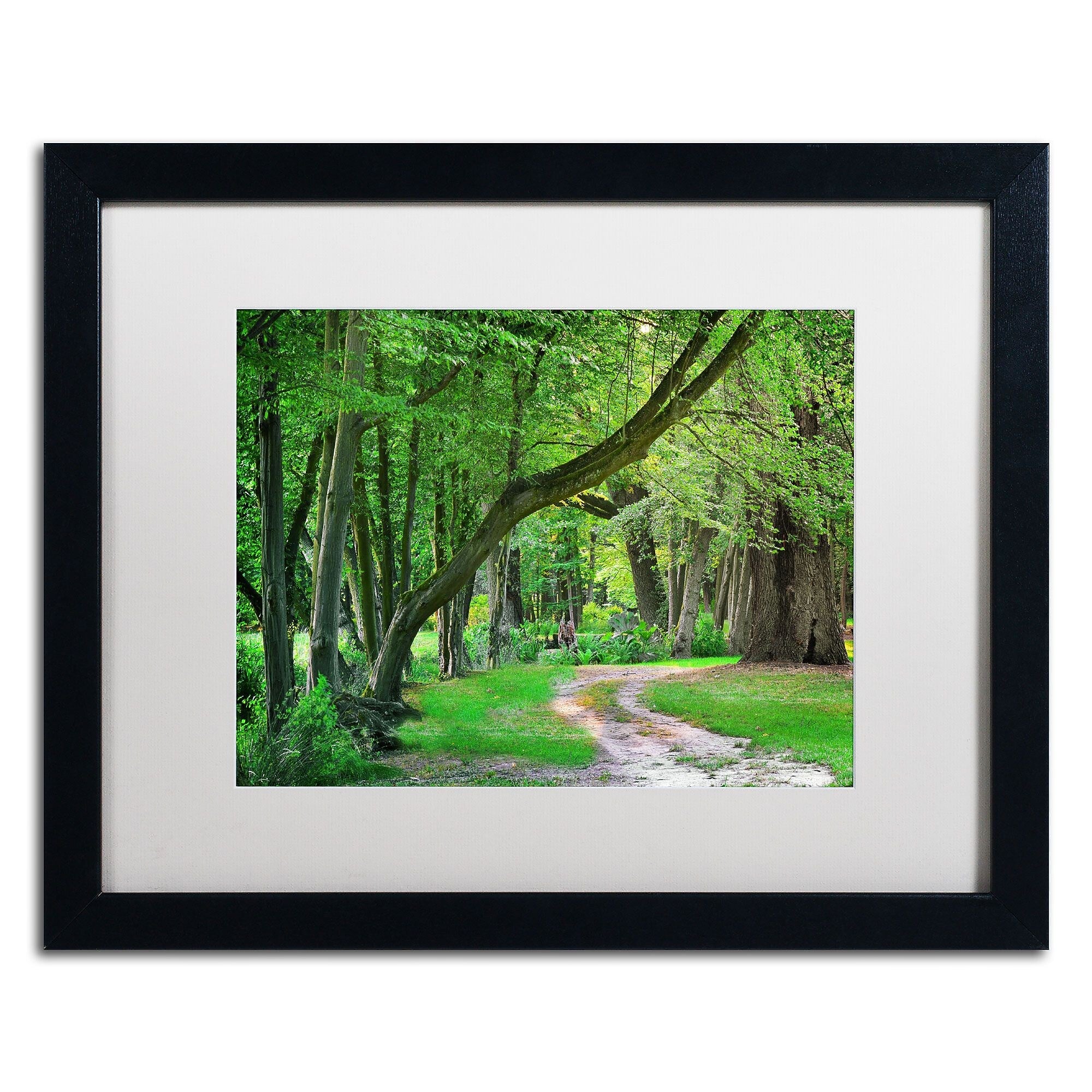 Trademark Fine Art Intimate Landscape by Philippe Sainte-Laudy 16x20 FRM Art, WHT MTD (PSL0309-B1620MF)