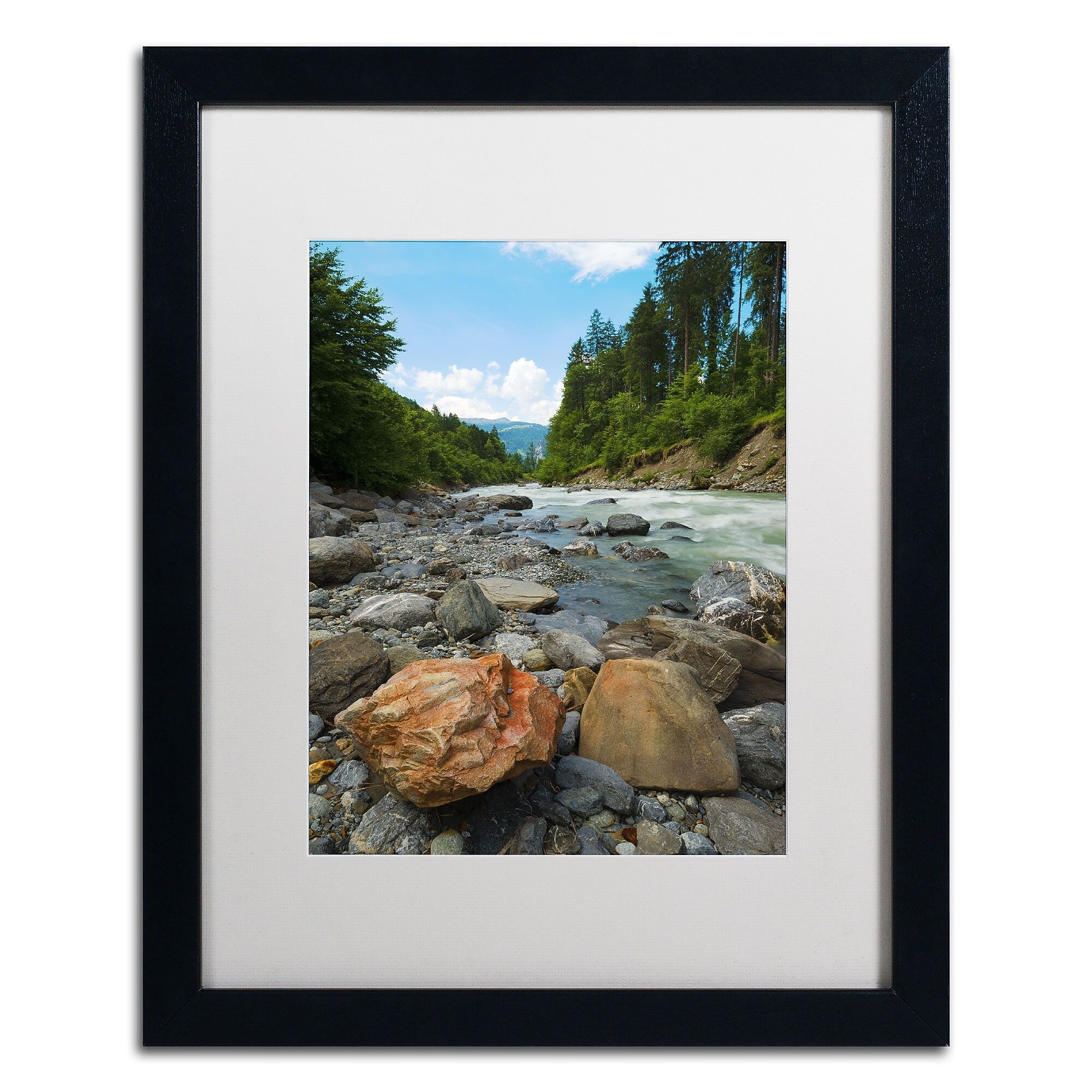 Trademark Fine Art PSL0310-B1620MF "Isolated" by Philippe Sainte-Laudy 16" x 20" Framed Art, WHT MTD