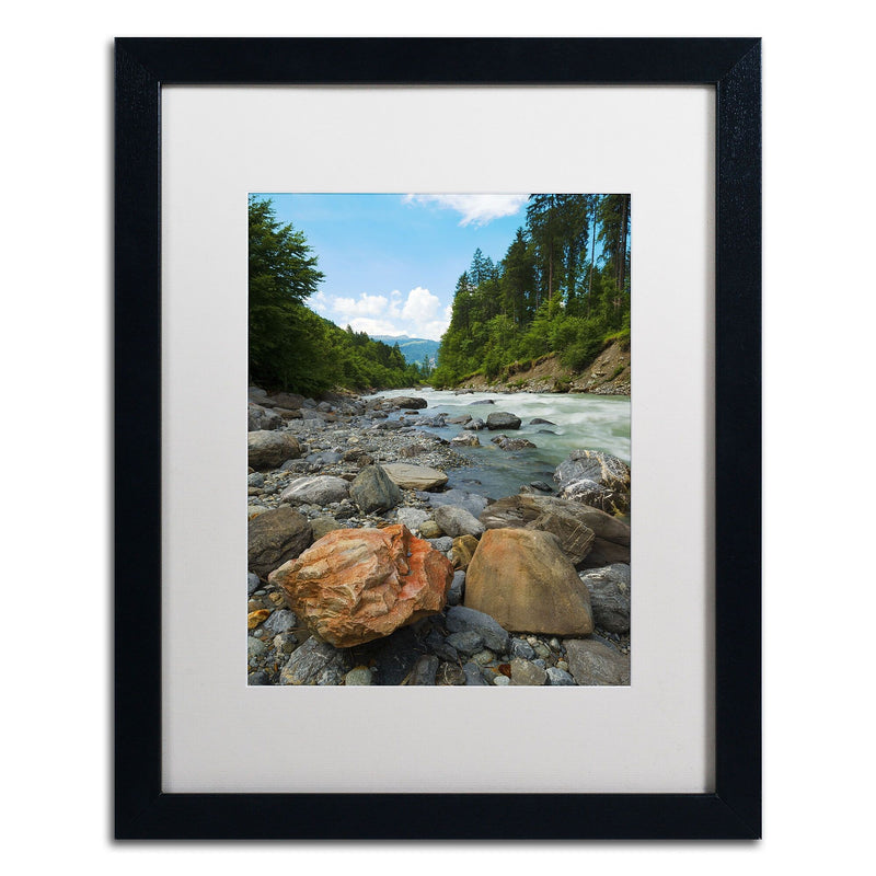 Trademark Fine Art PSL0310-B1620MF "Isolated" by Philippe Sainte-Laudy 16" x 20" Framed Art, WHT MTD