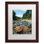 Trademark Fine Art PSL0310-W1620MF "Isolated" by Philippe Sainte-Laudy 20" x 16" Framed Art, WHT MTD