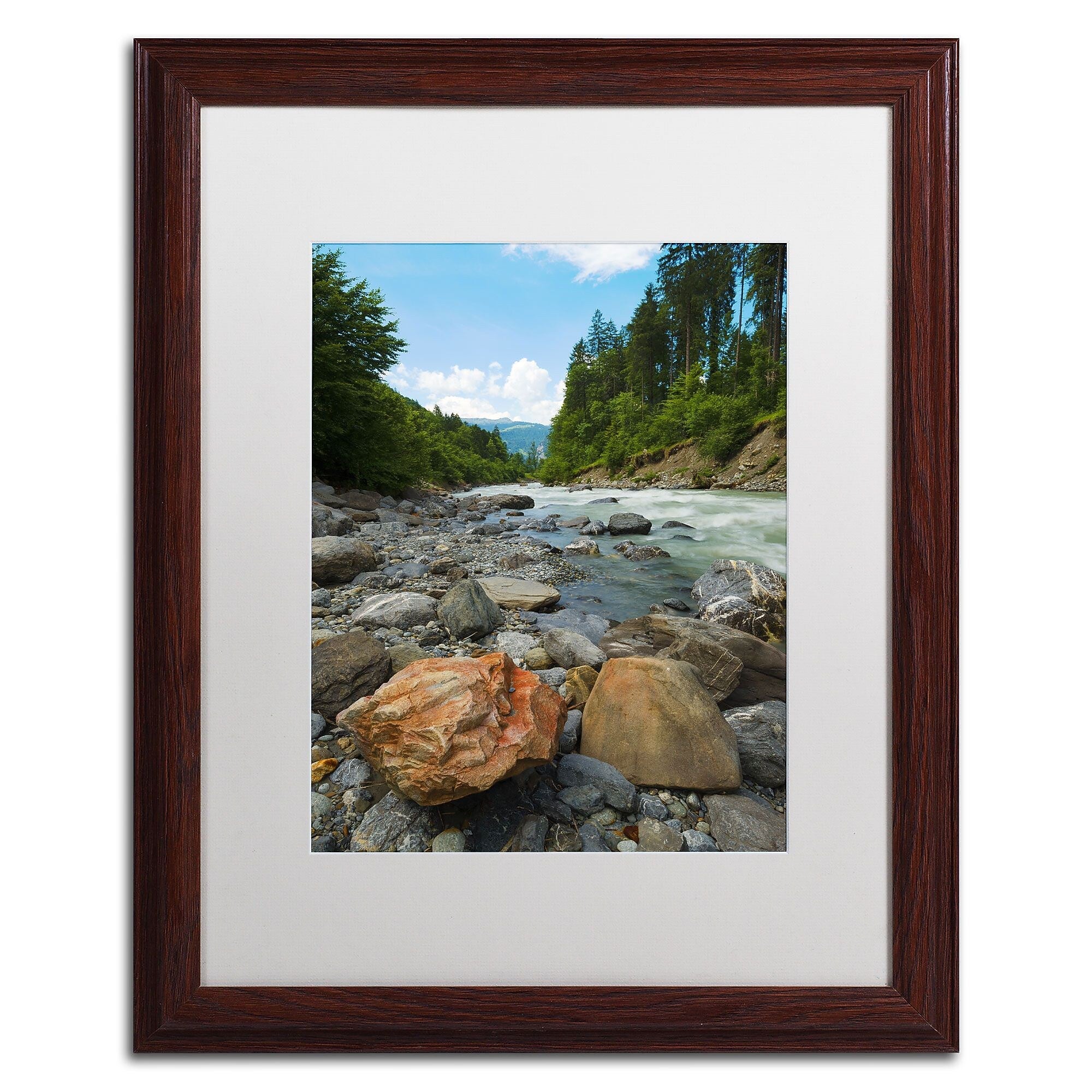 Trademark Fine Art PSL0310-W1620MF "Isolated" by Philippe Sainte-Laudy 20" x 16" Framed Art, WHT MTD