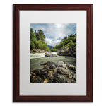 Trademark Fine Art PSL0328-W1620MF "Waterland" by Philippe Sainte-Laudy 20" x 16" FRM Art, WHT MTD
