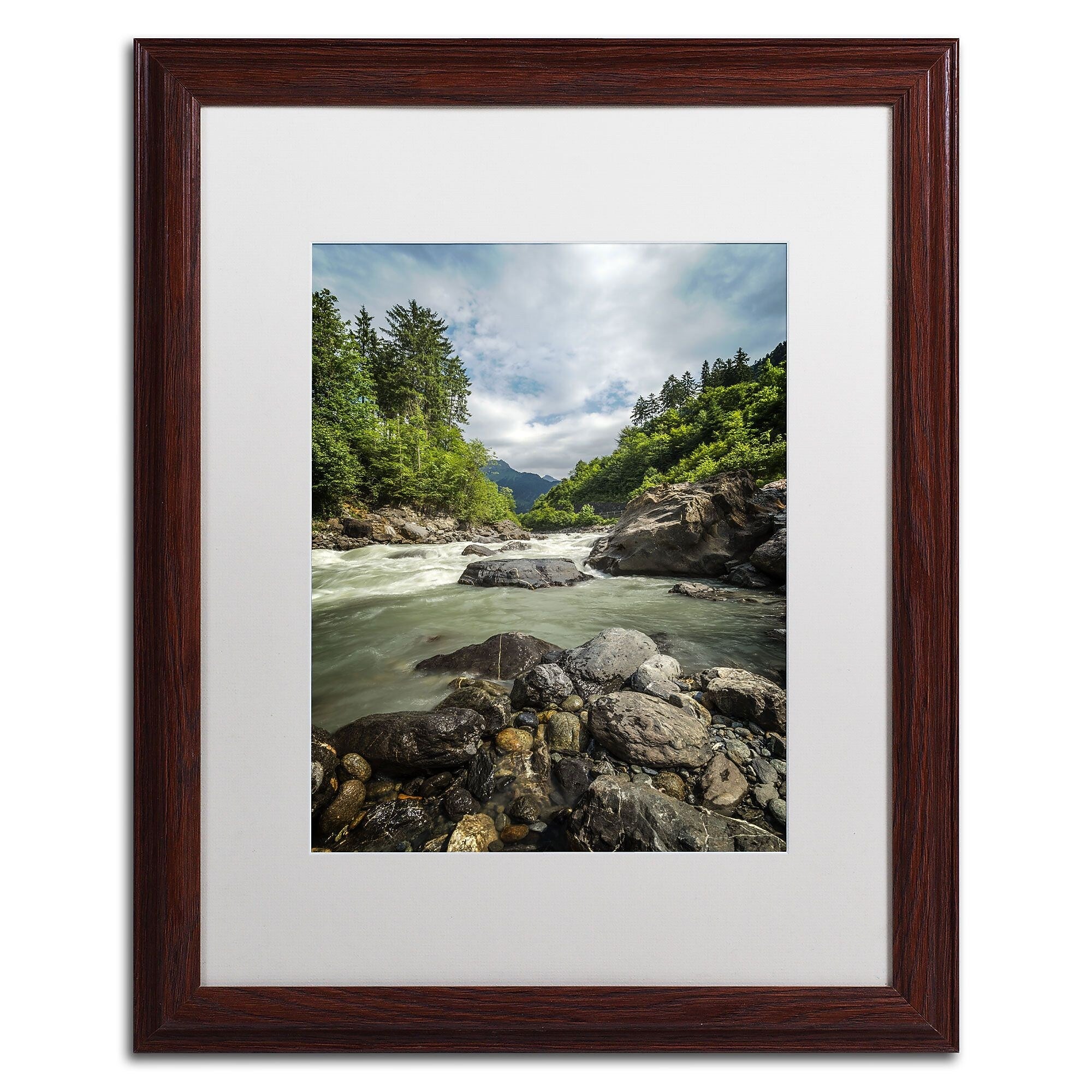 Trademark Fine Art PSL0328-W1620MF "Waterland" by Philippe Sainte-Laudy 20" x 16" FRM Art, WHT MTD