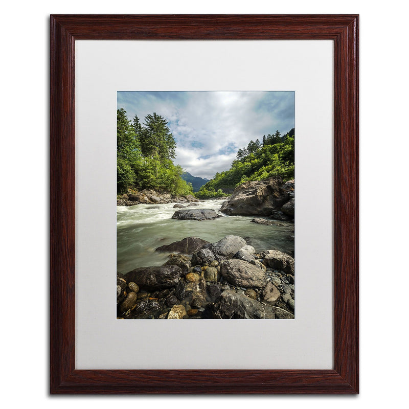 Trademark Fine Art PSL0328-W1620MF "Waterland" by Philippe Sainte-Laudy 20" x 16" FRM Art, WHT MTD