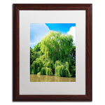 Trademark Fine Art PSL0329-W1620MF Weeping Willow by Philippe Sainte-Laudy 20x16 FRM Art, WHT MTD